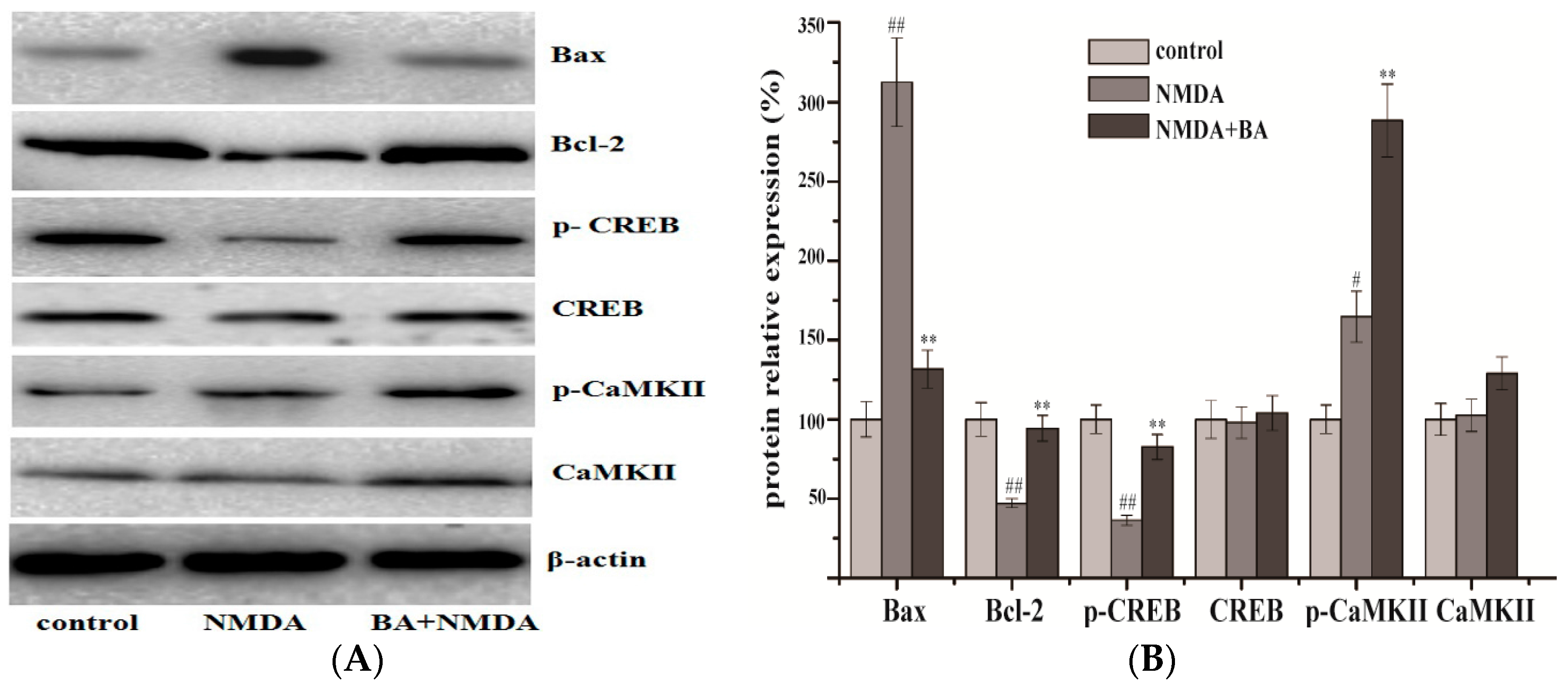 Molecules 21 00418 g005