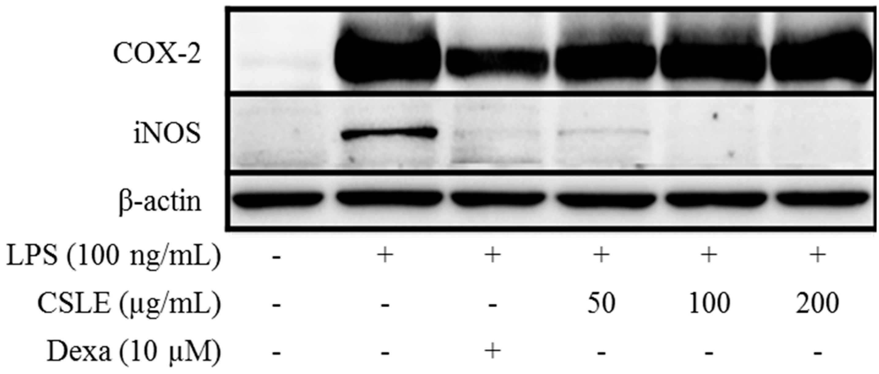 Molecules 21 00422 g002