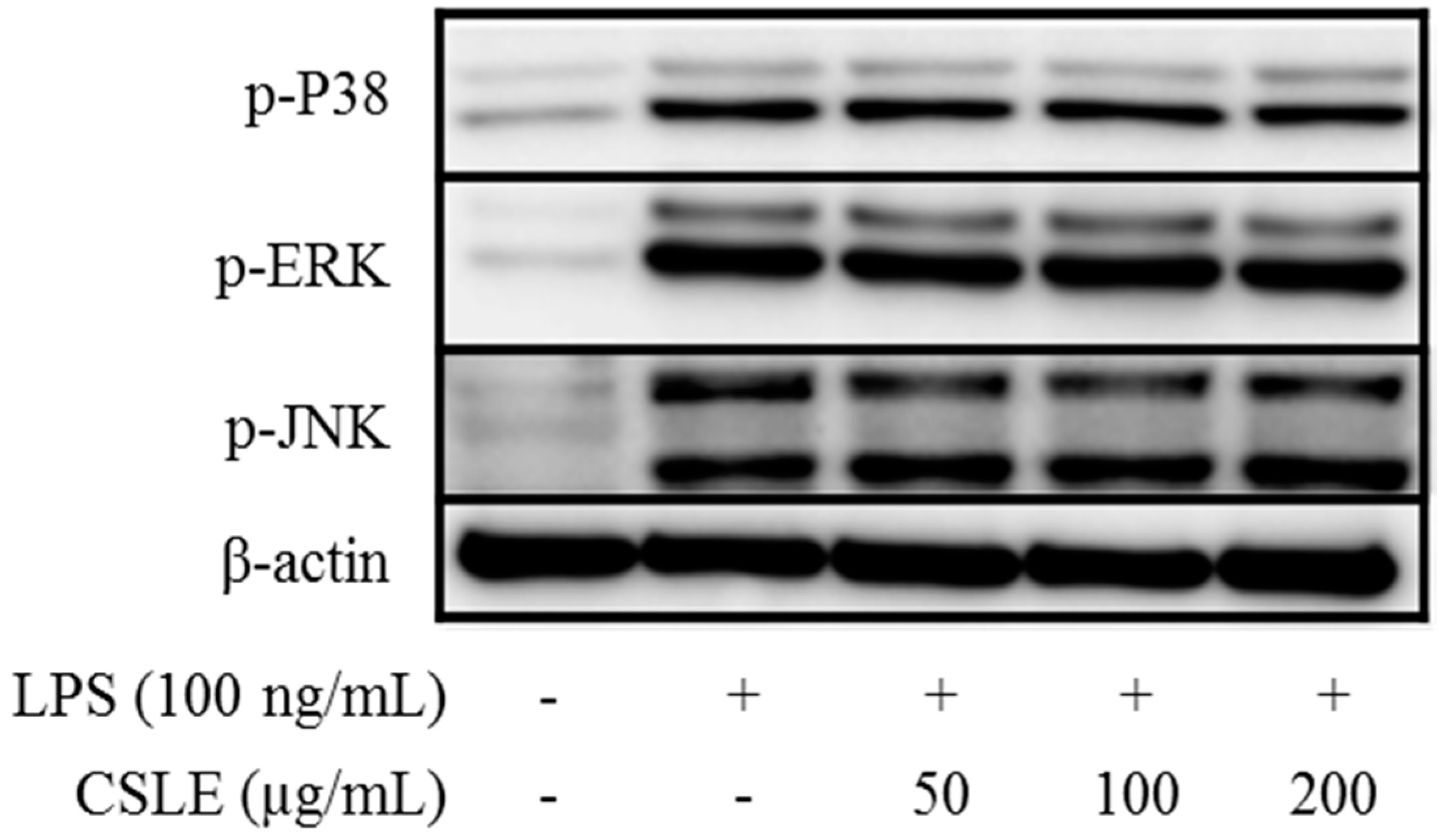 Molecules 21 00422 g006