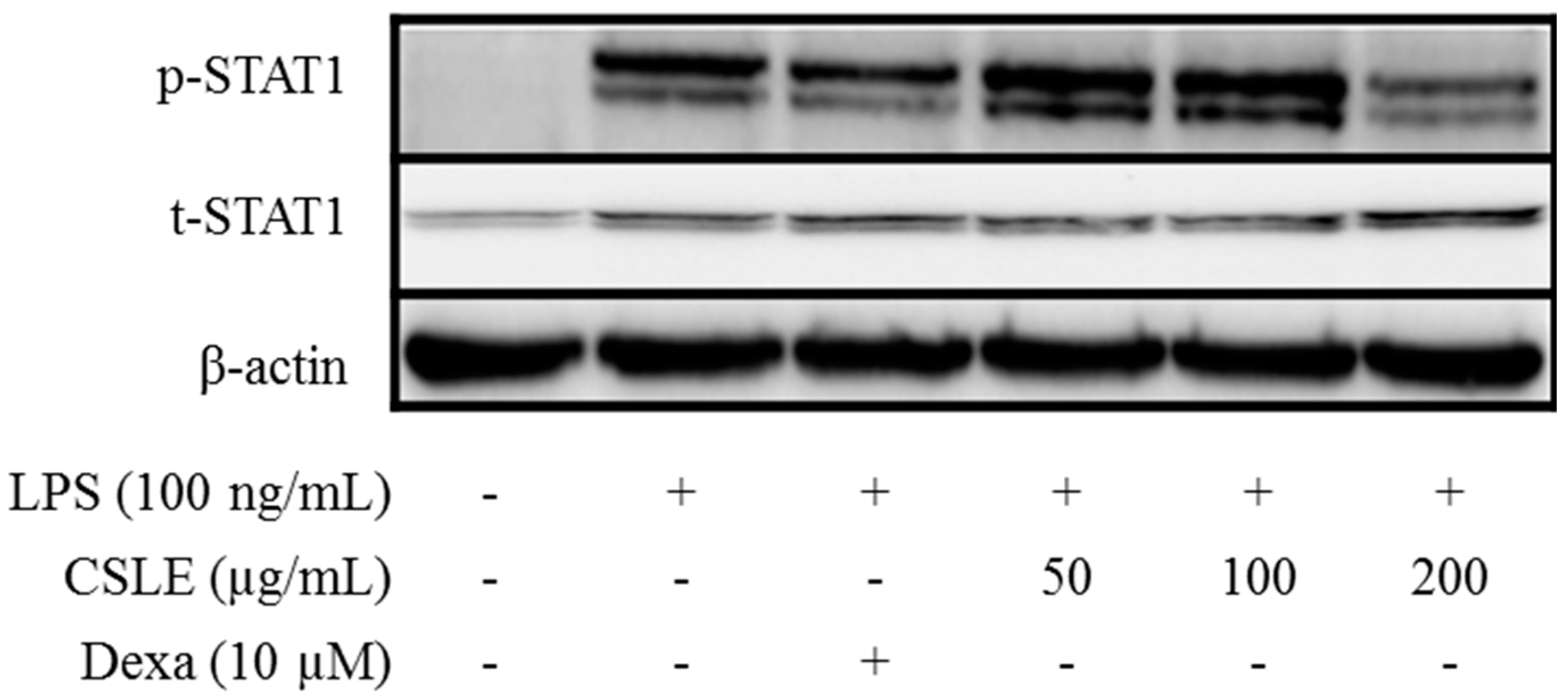 Molecules 21 00422 g007