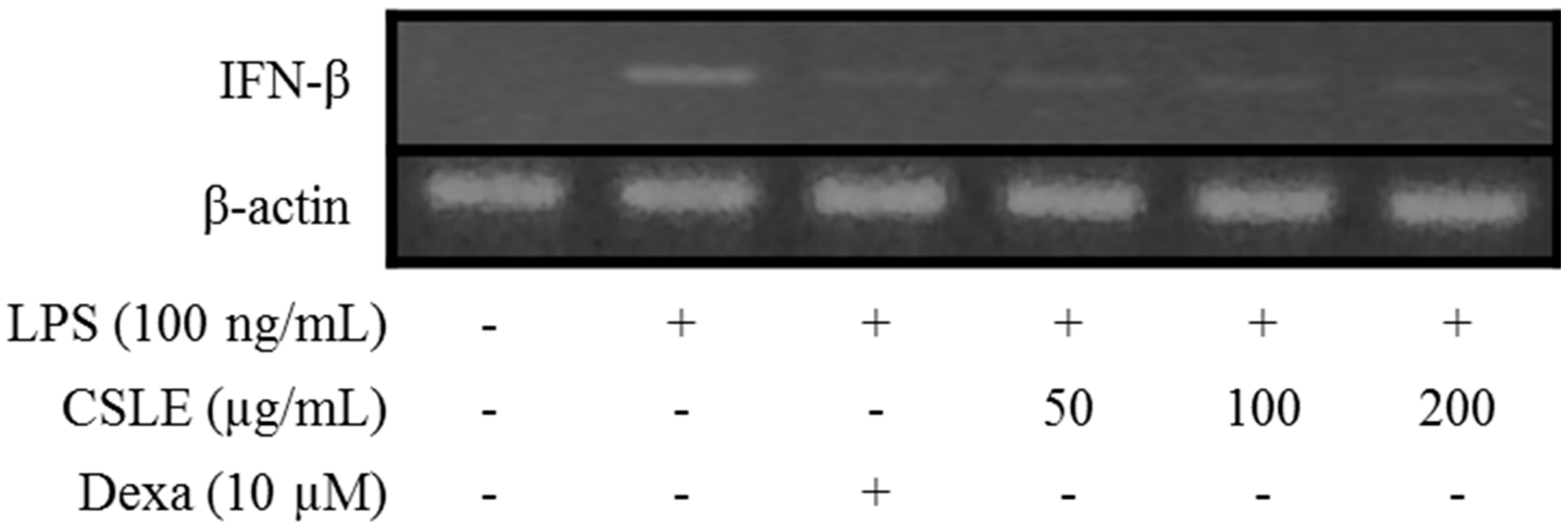 Molecules 21 00422 g008