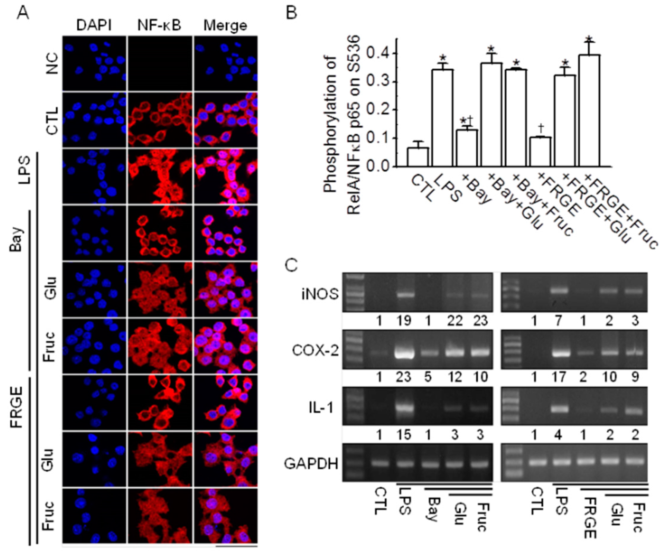 Molecules 21 00430 g004