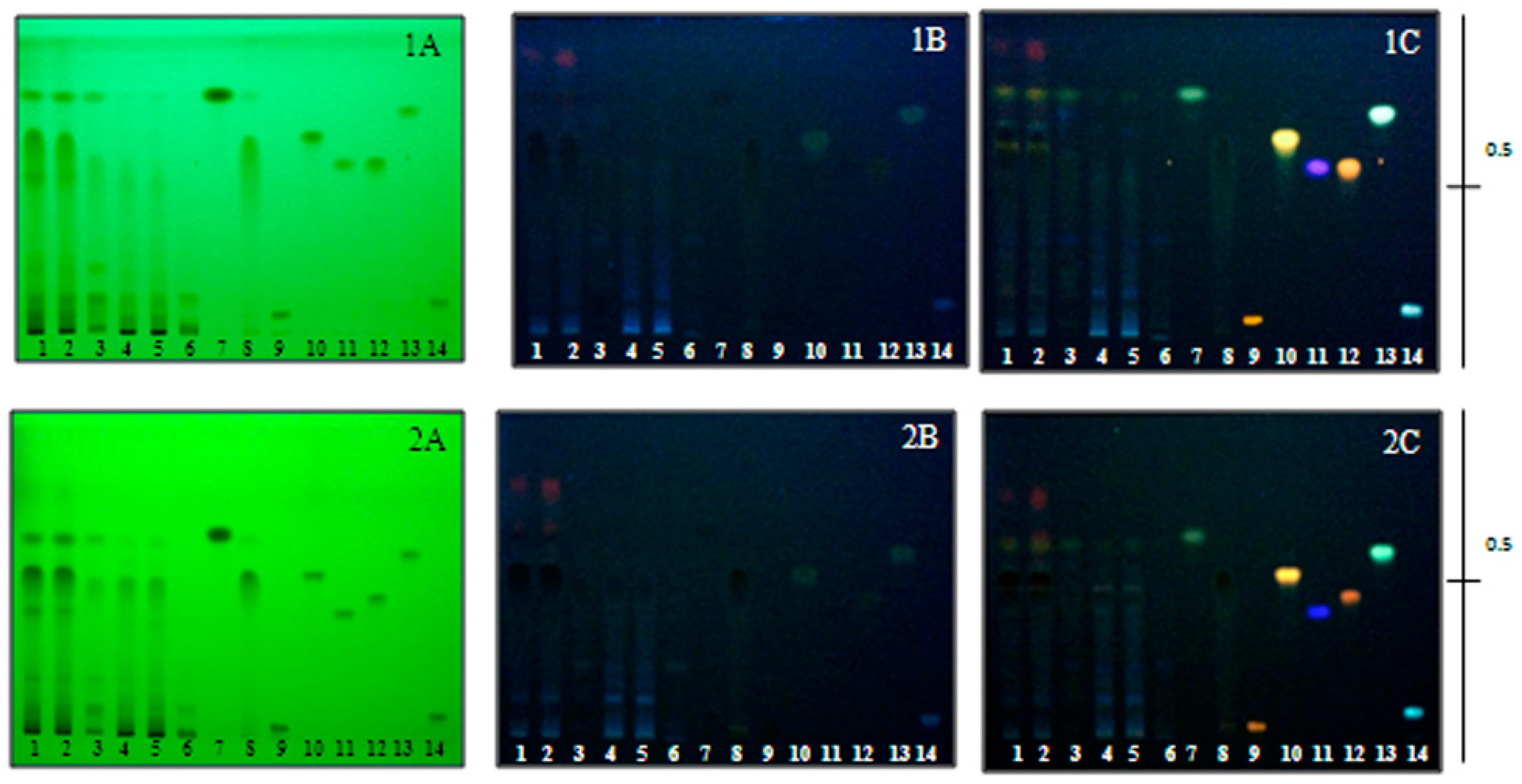 Molecules 21 00446 g001