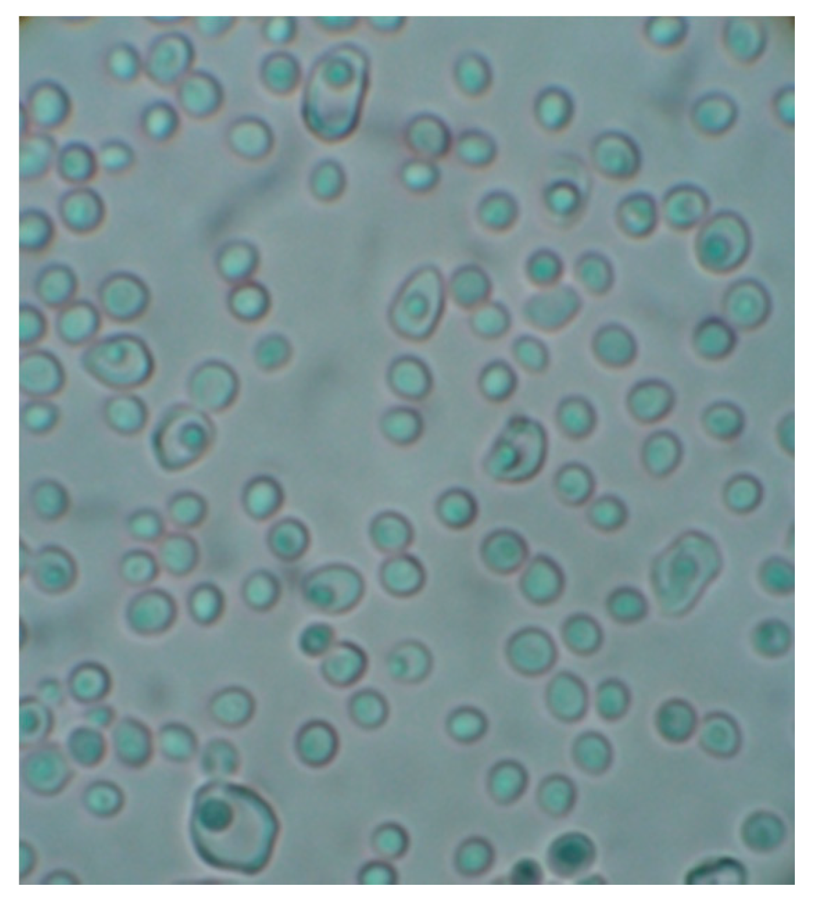 Molecules 21 00447 g009