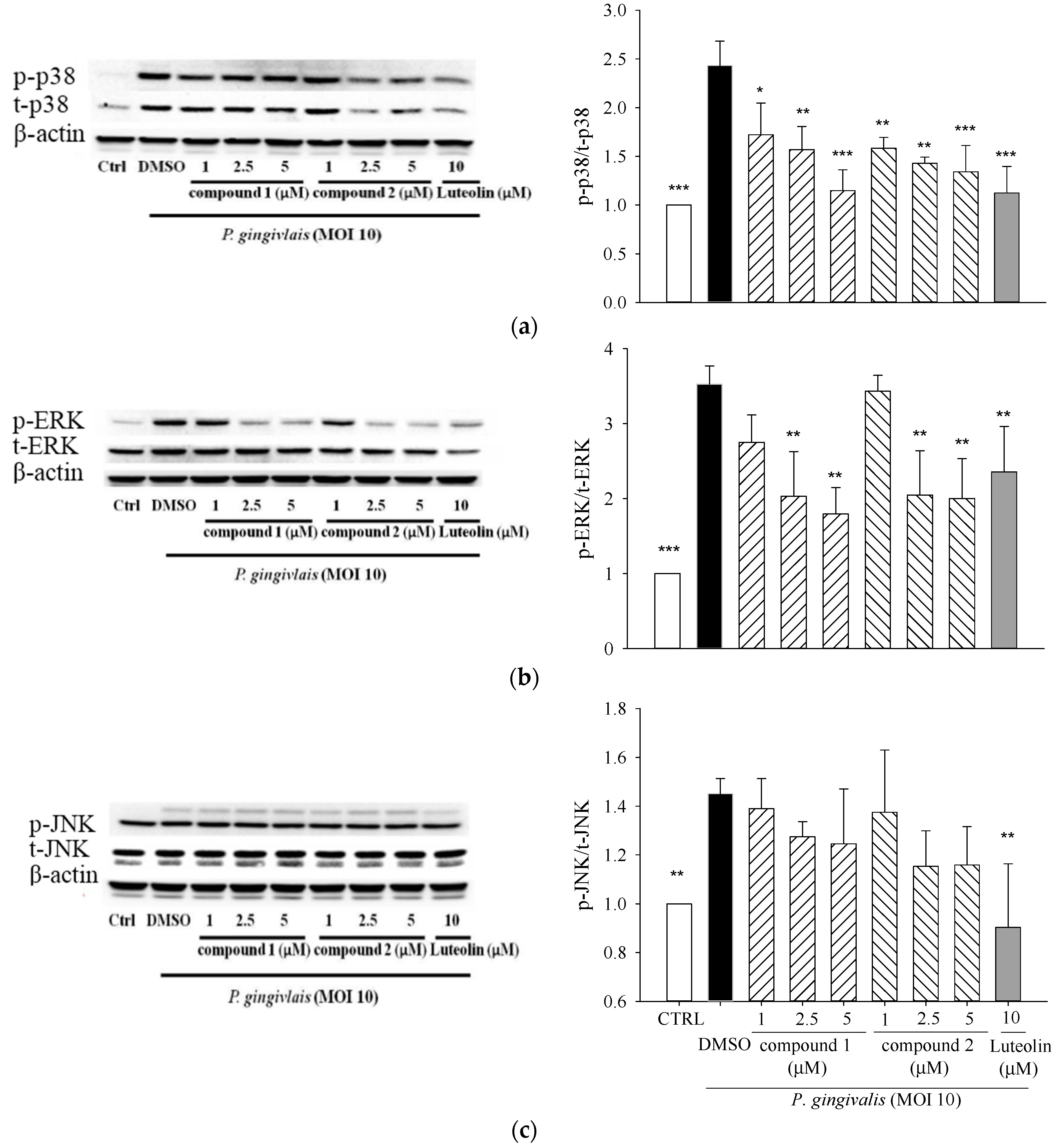 Molecules 21 00454 g005