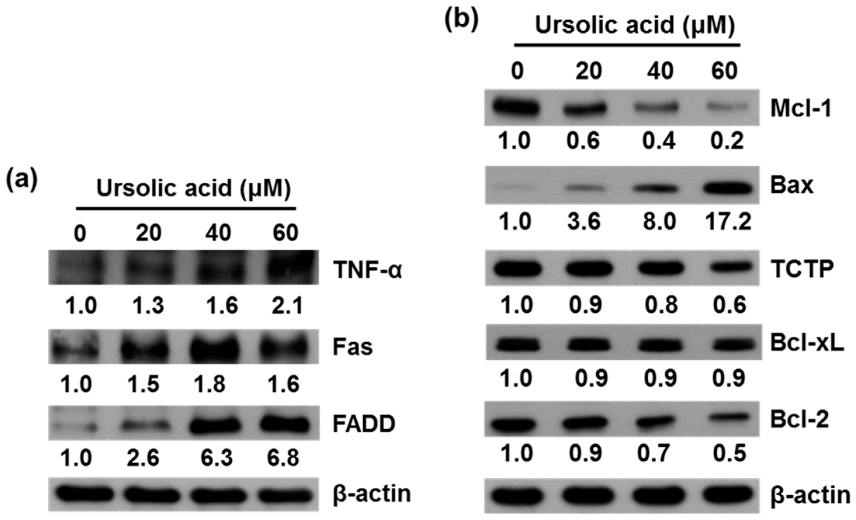 Molecules 21 00460 g006