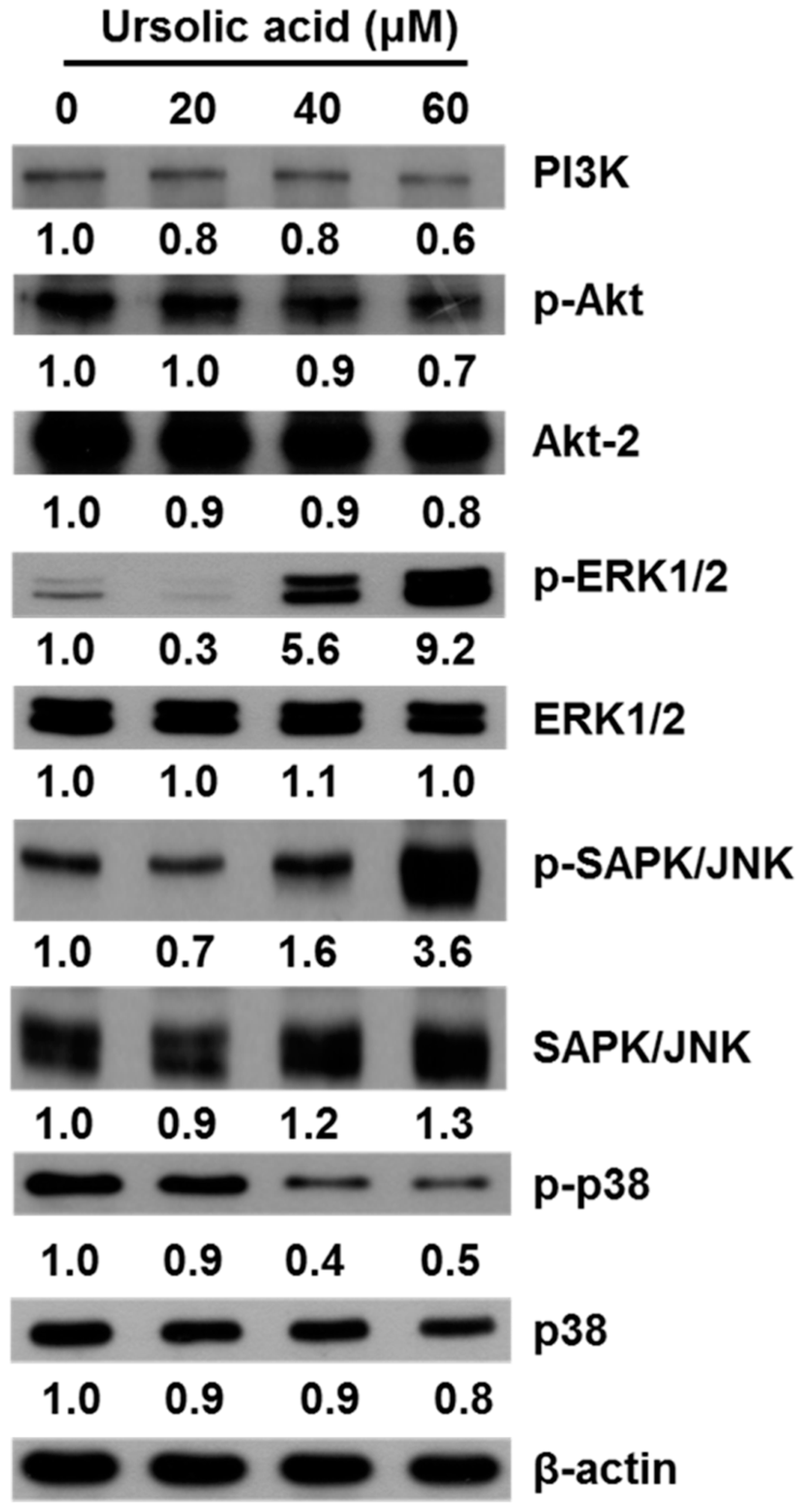 Molecules 21 00460 g008