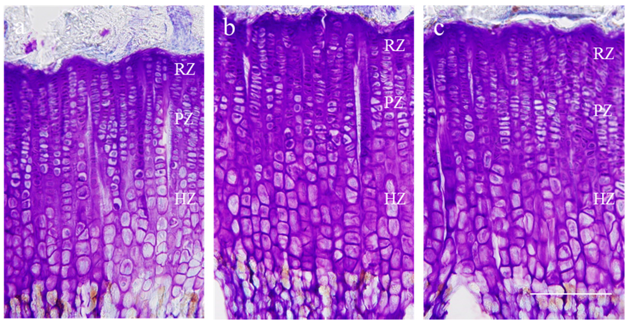 Molecules 21 00461 g003
