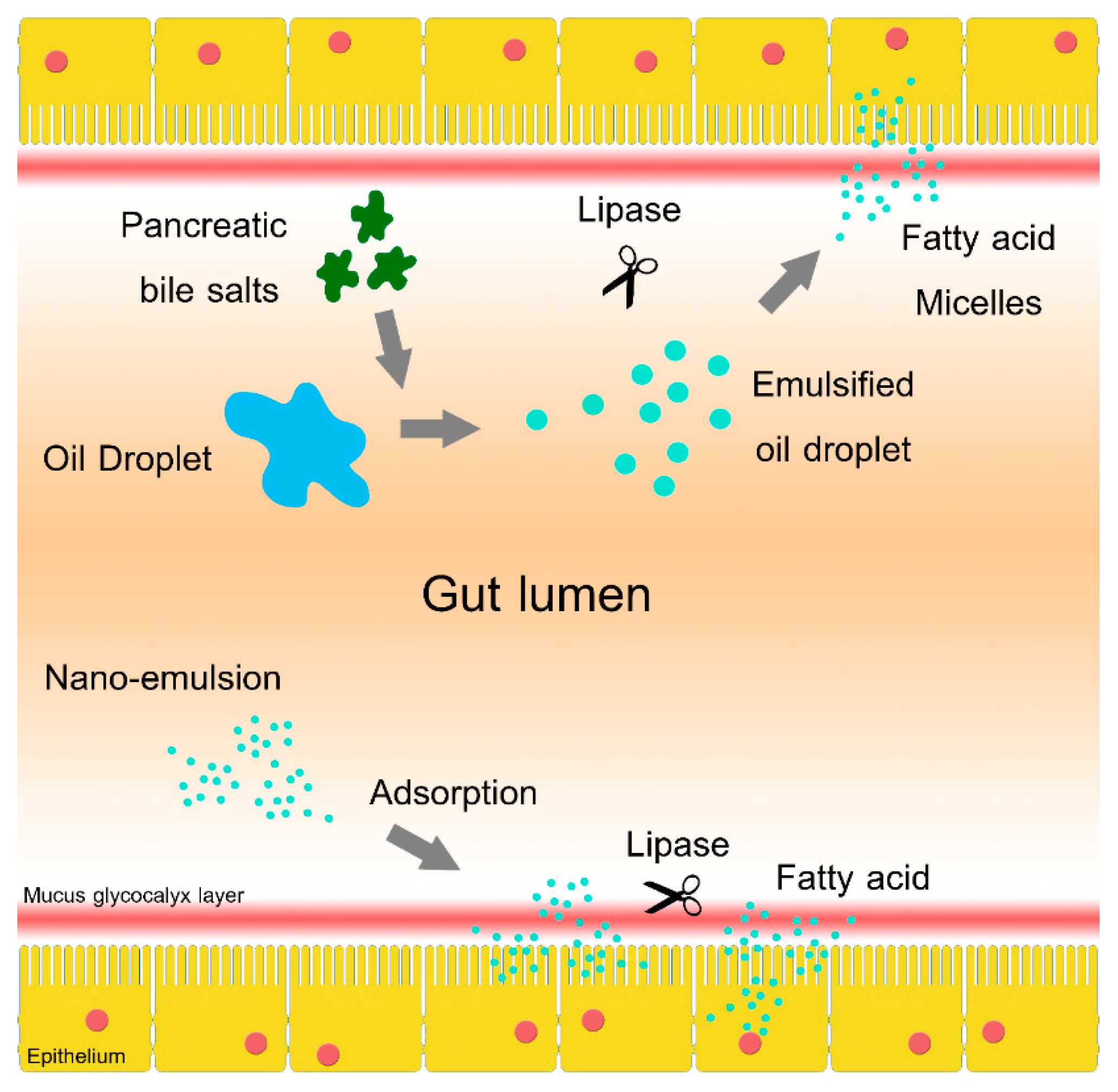 Molecules 21 00479 g001