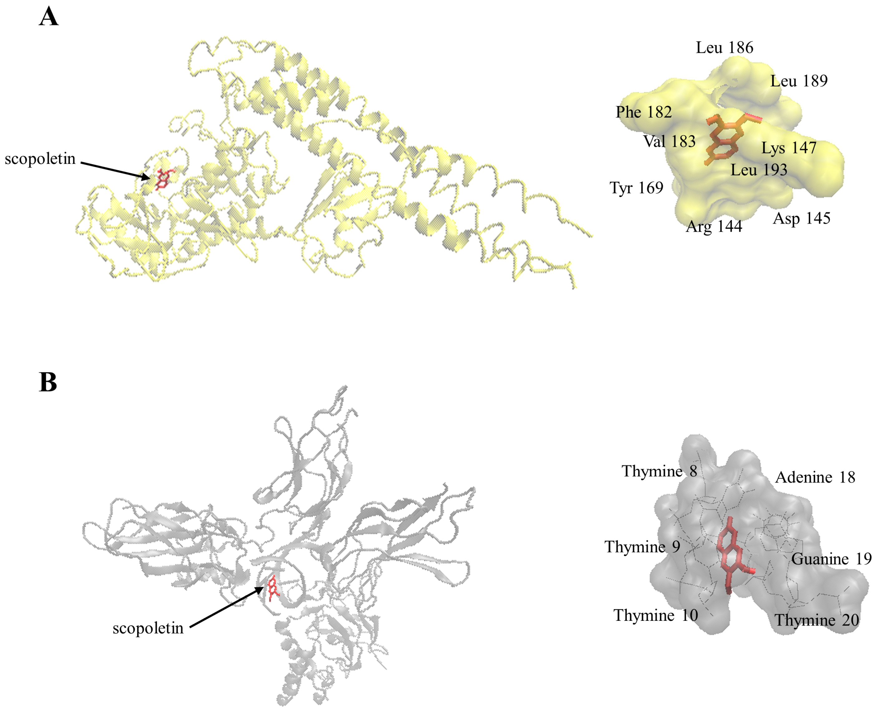 Molecules 21 00496 g008