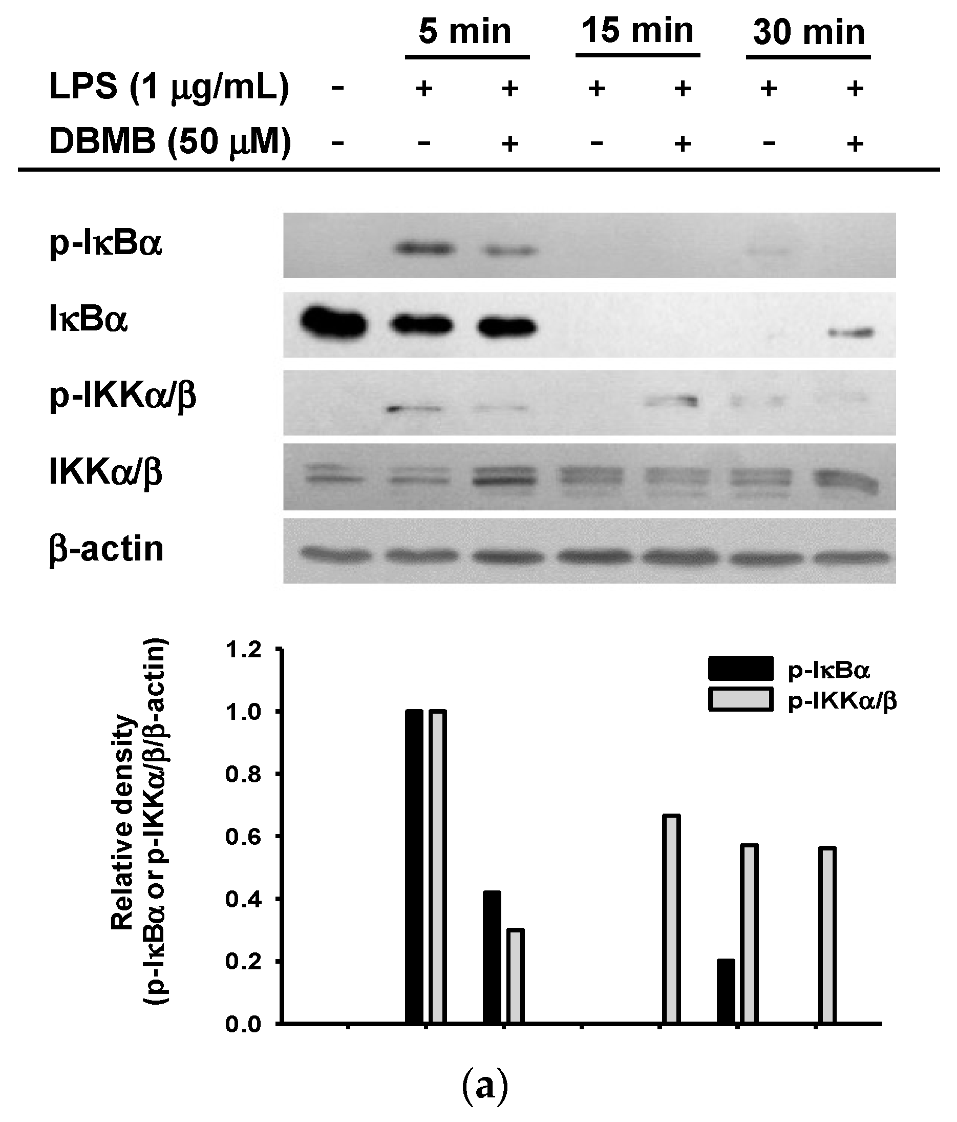 Molecules 21 00508 g003a