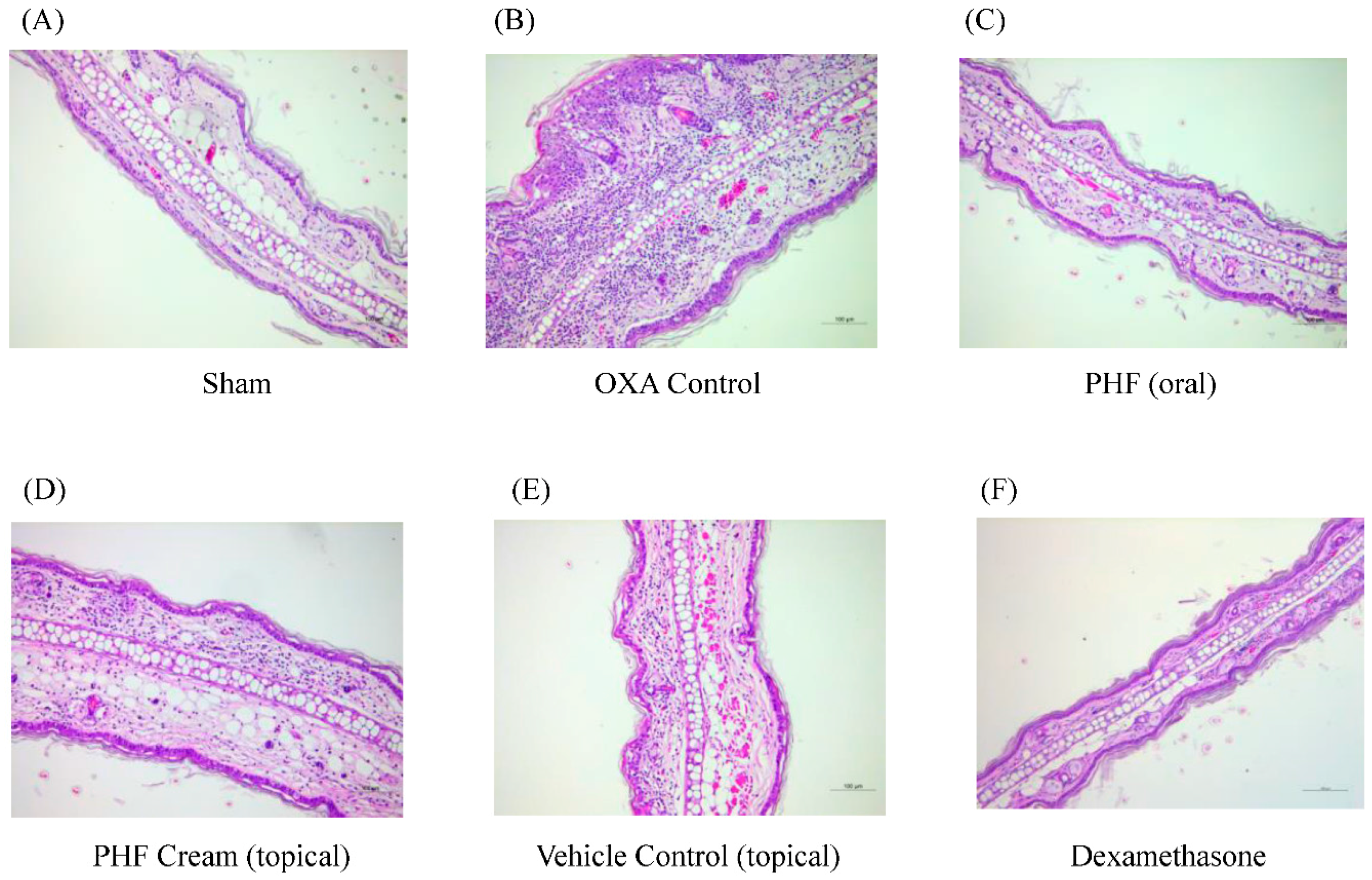 Molecules 21 00519 g002