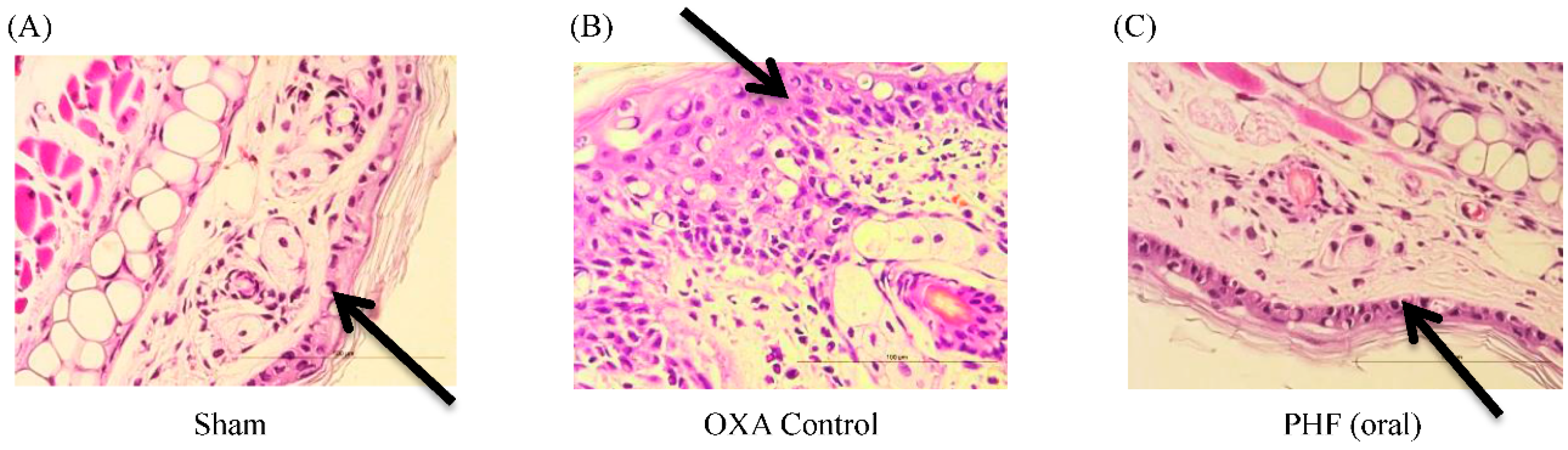 Molecules 21 00519 g003a