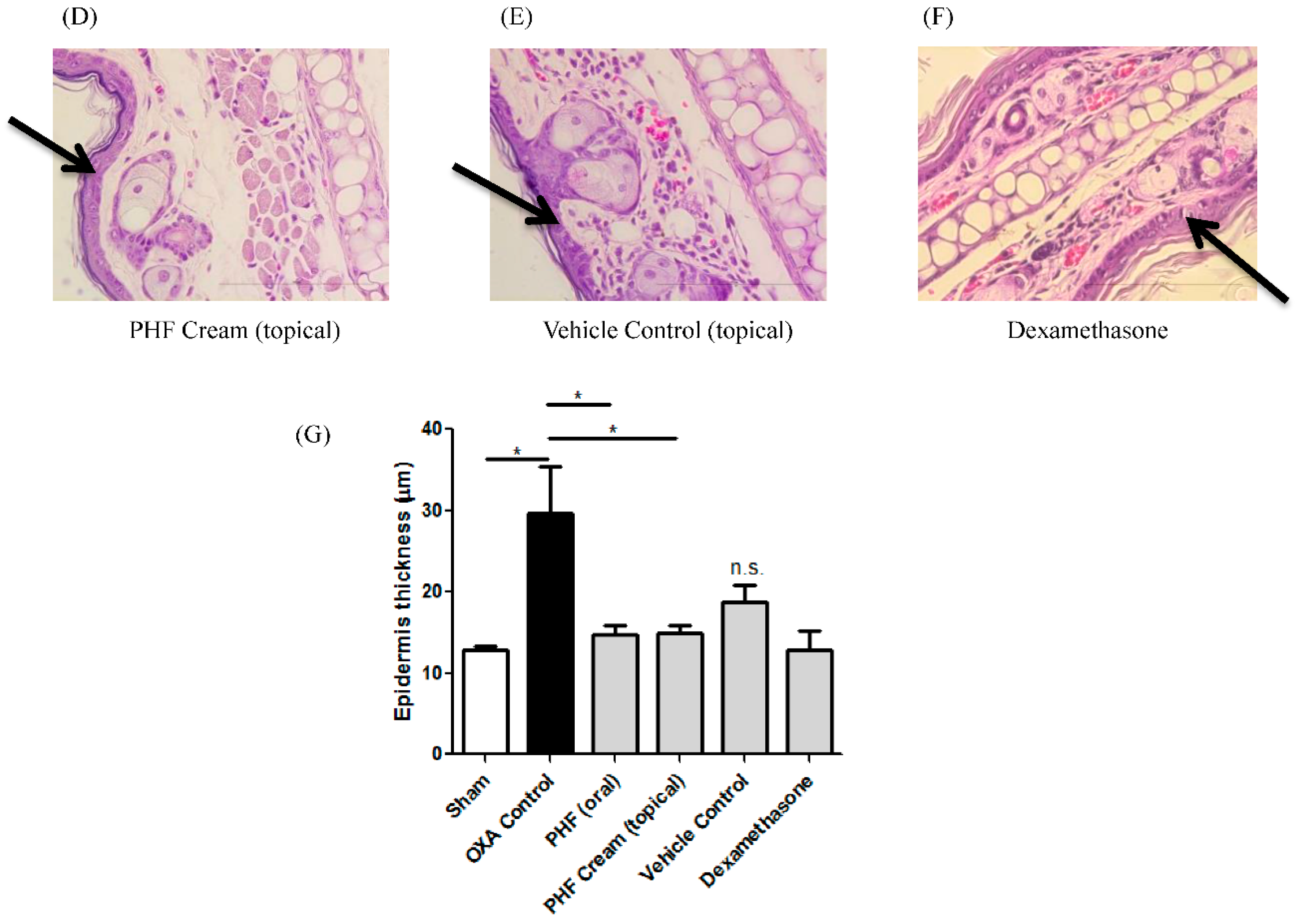 Molecules 21 00519 g003b