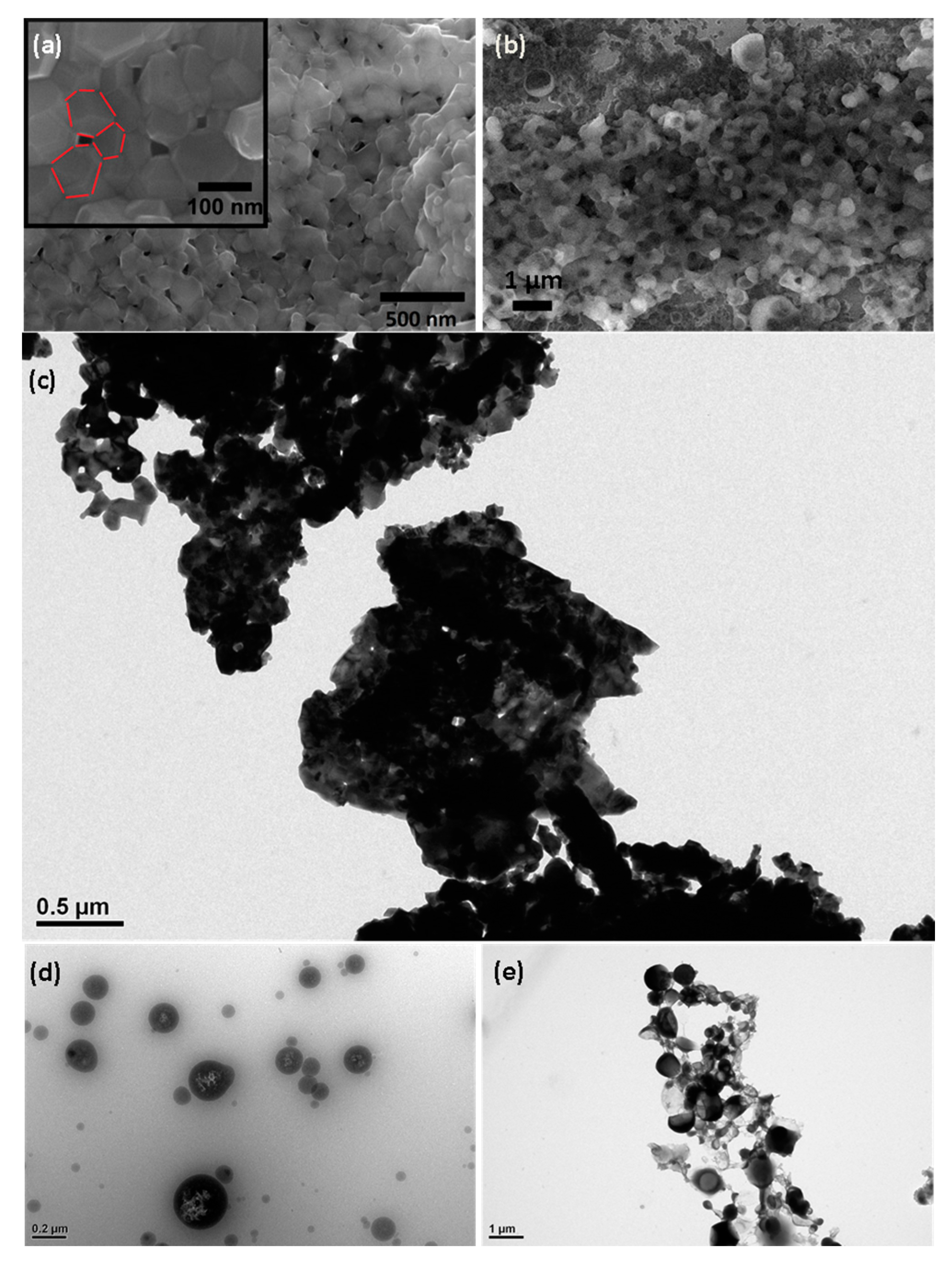 Molecules 21 00520 g004