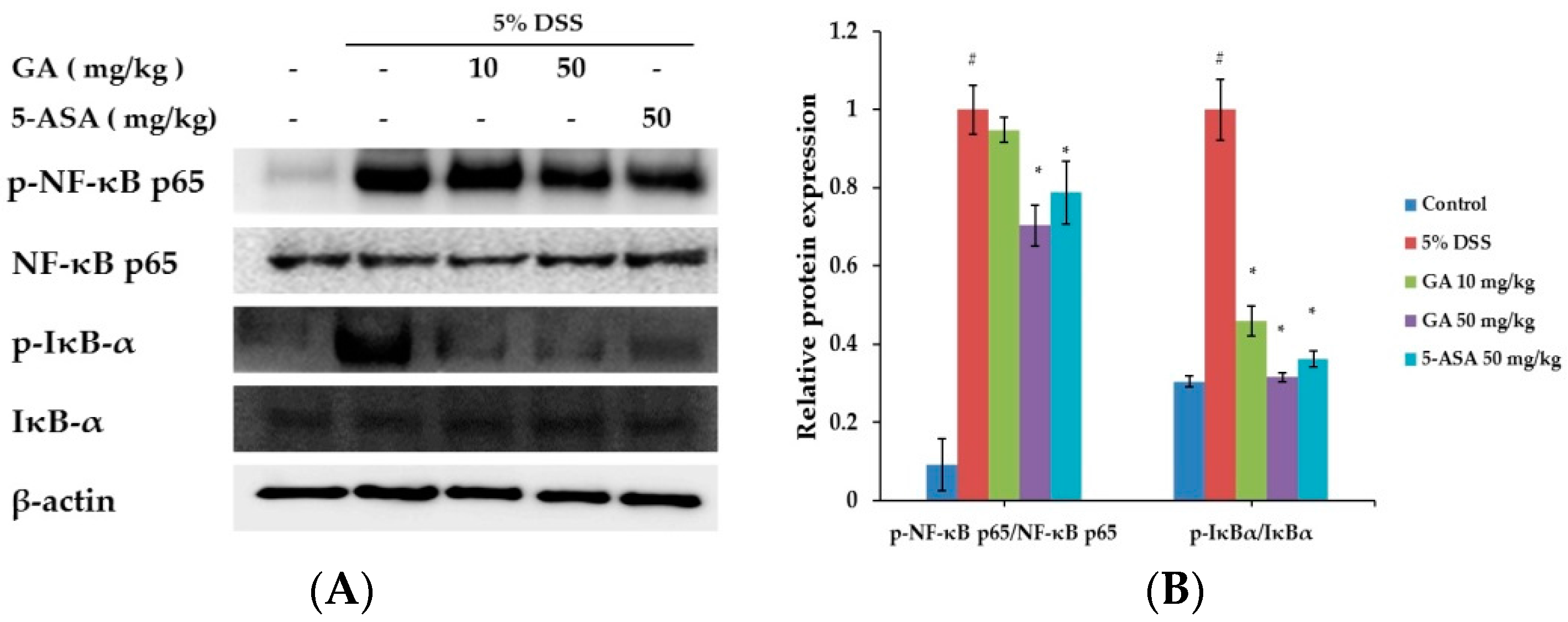 Molecules 21 00523 g004