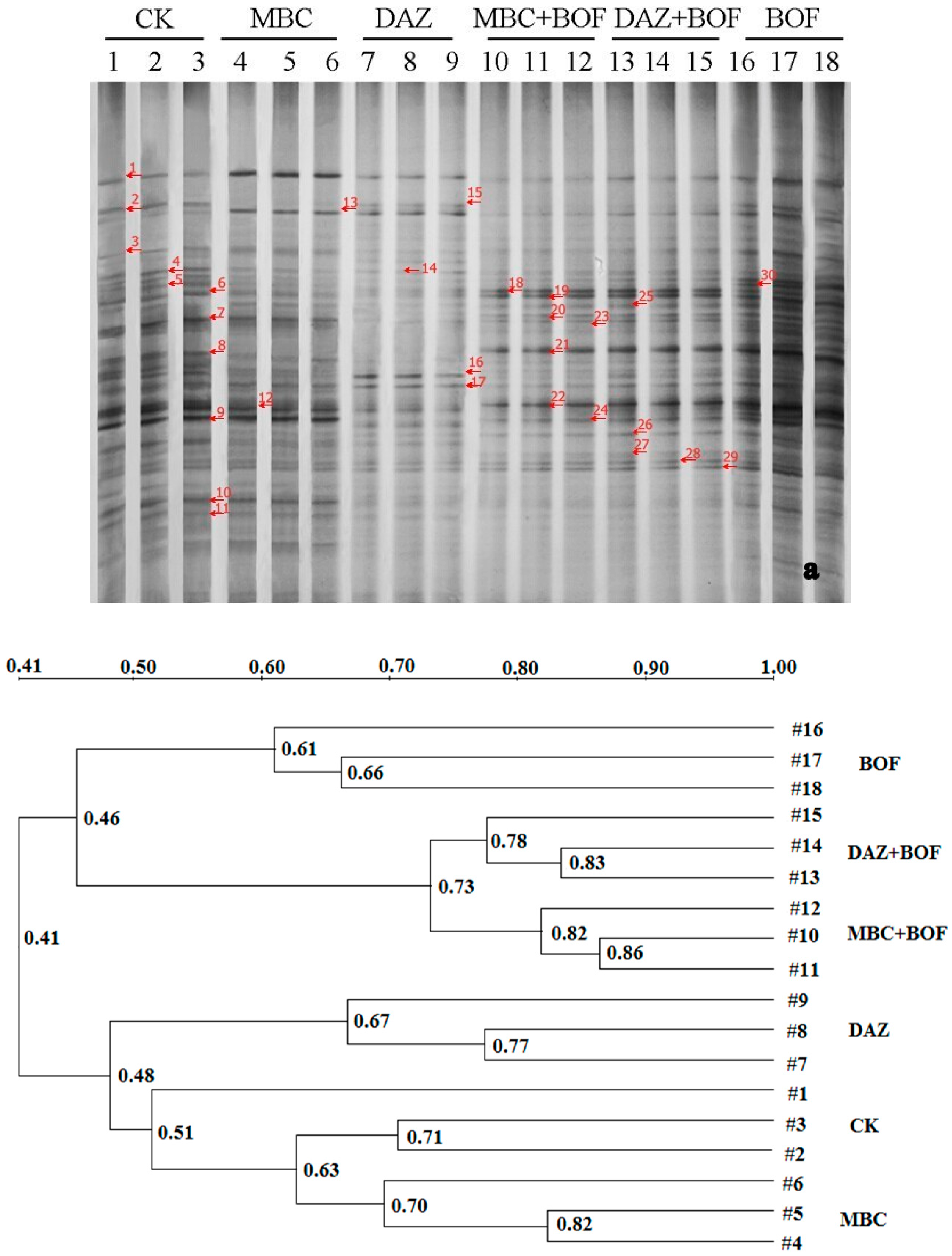 Molecules 21 00526 g003a