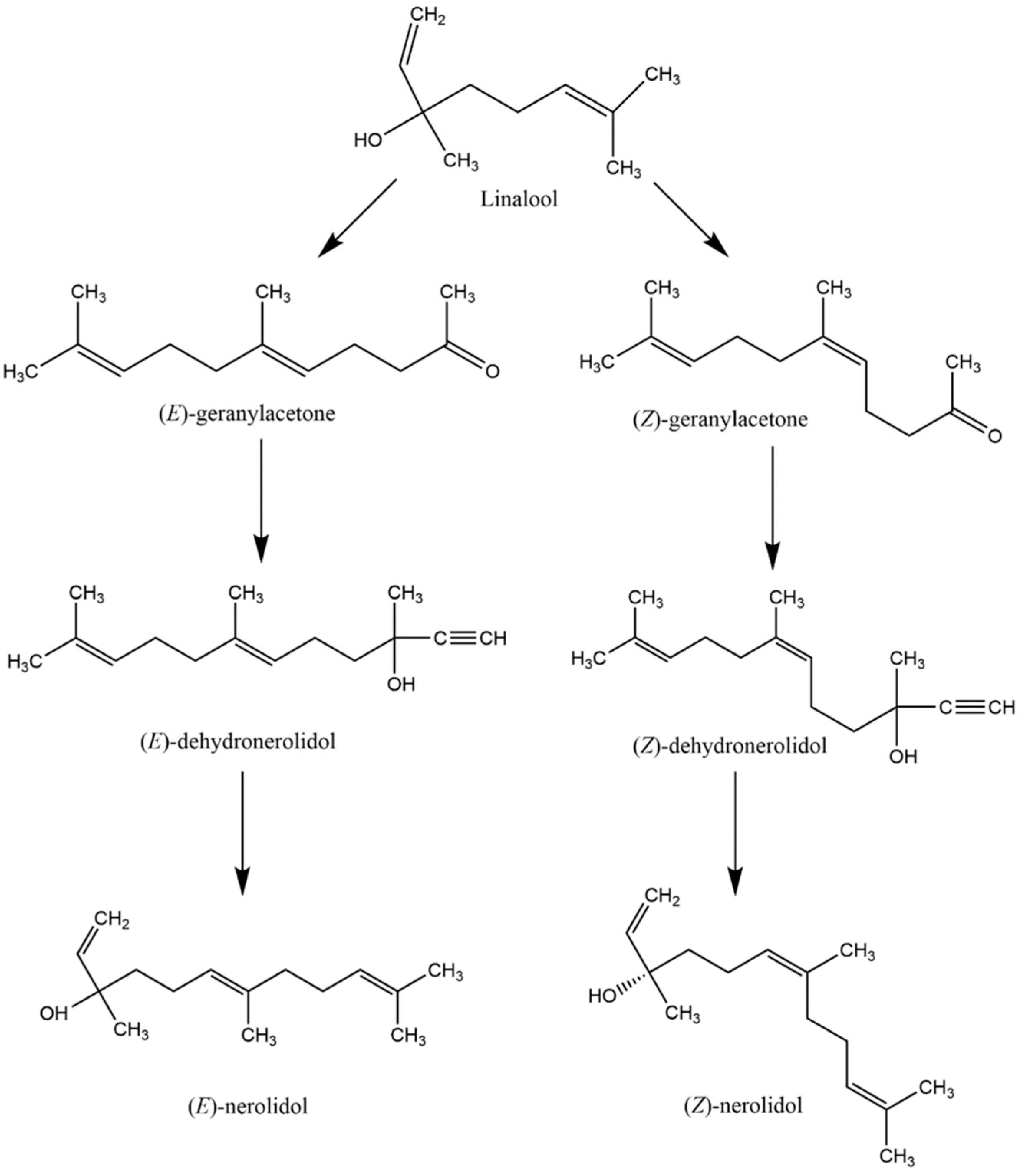 Molecules 21 00529 sch001