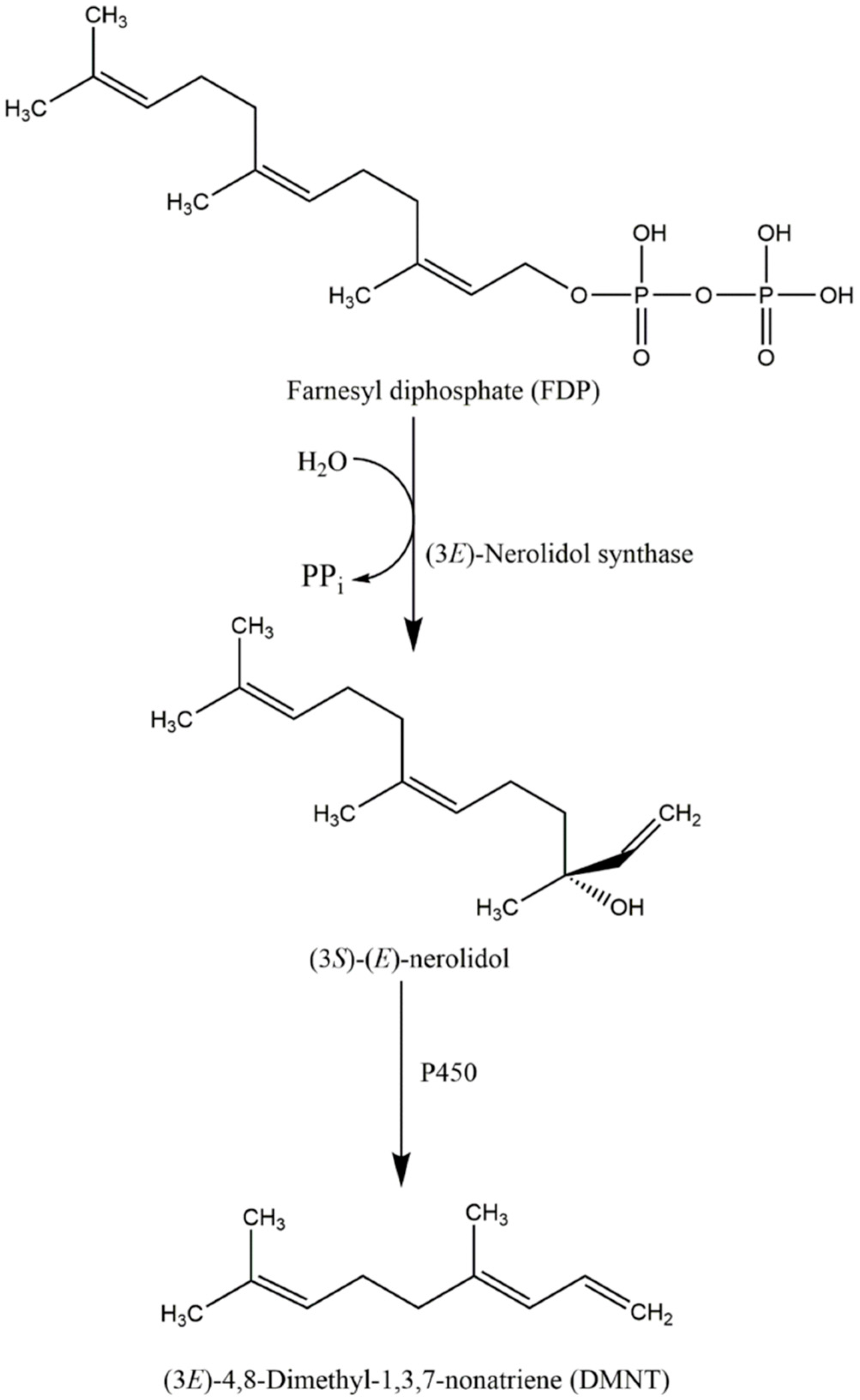 Molecules 21 00529 sch002