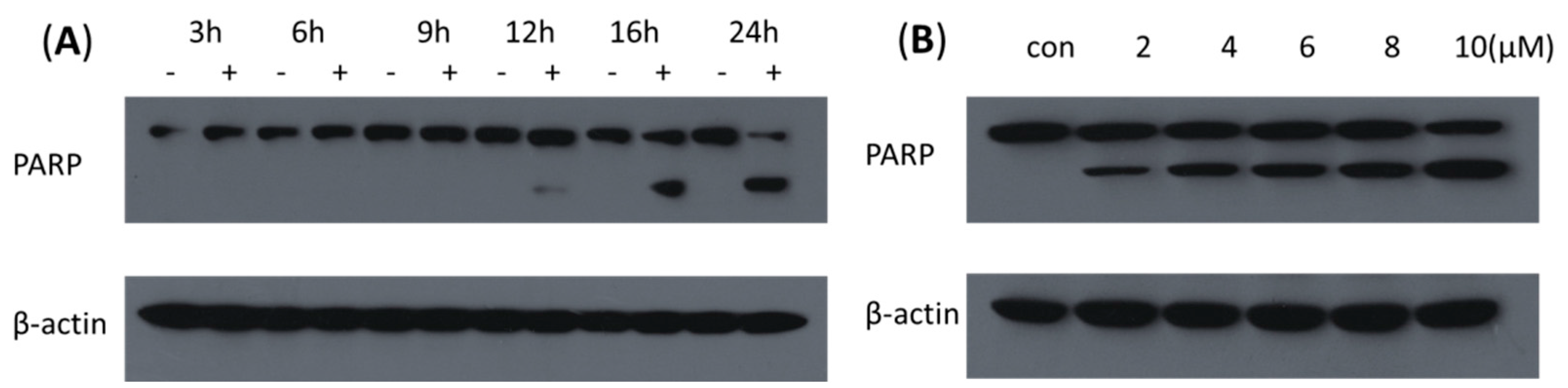 Molecules 21 00530 g002