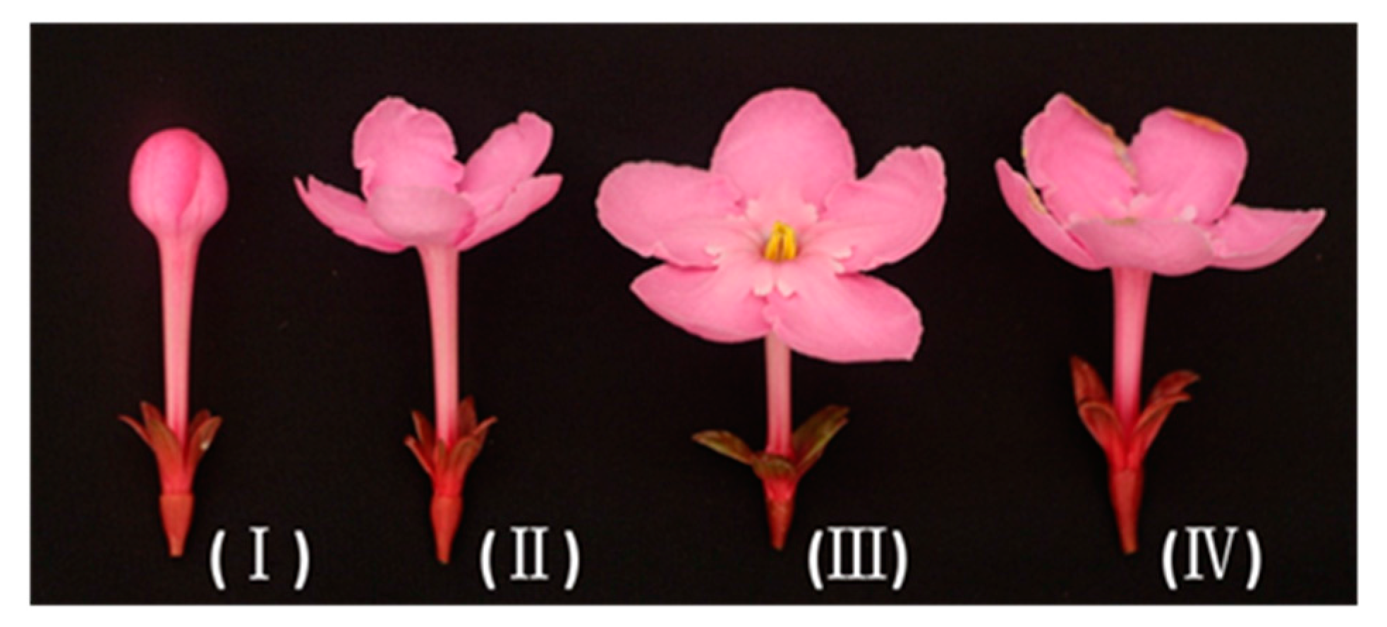 Molecules 21 00531 g001