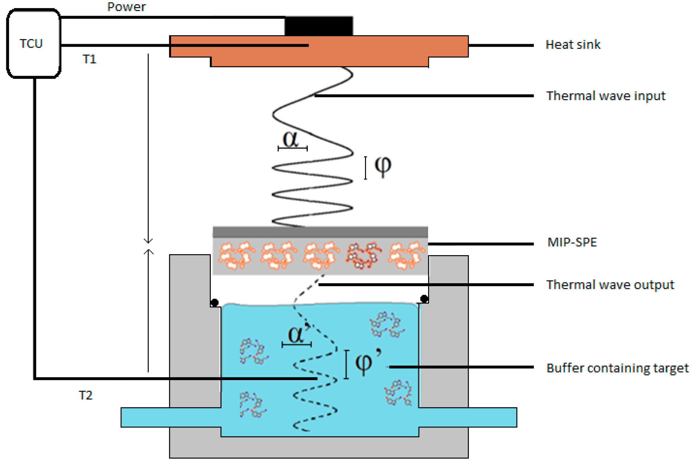 Molecules 21 00552 g007