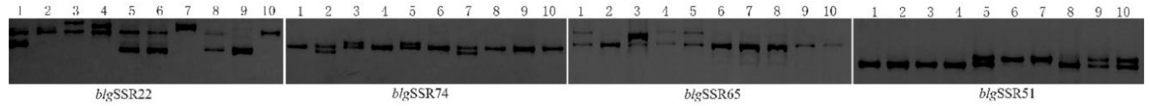 Molecules 21 00560 g005