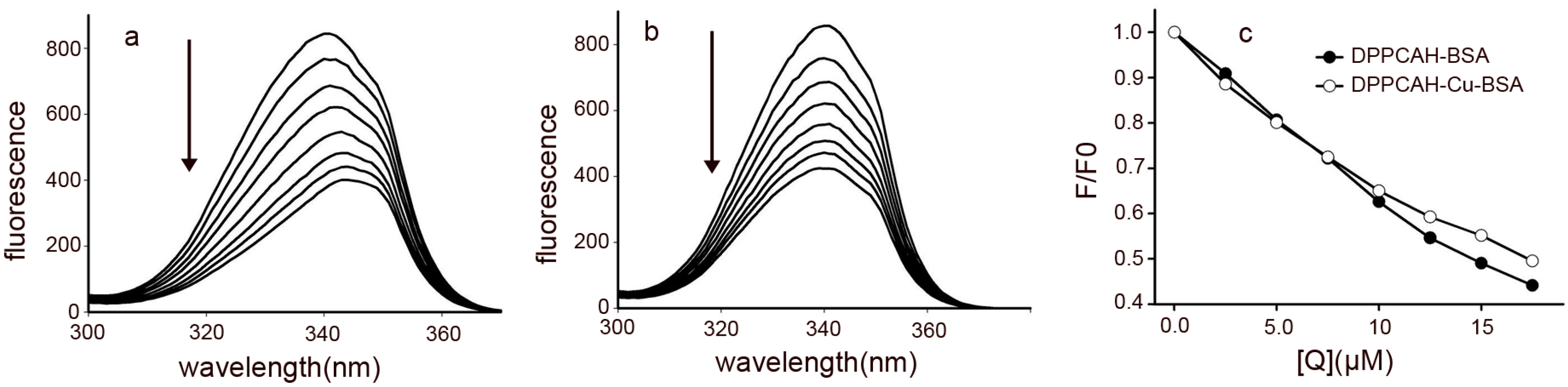 Molecules 21 00563 g007