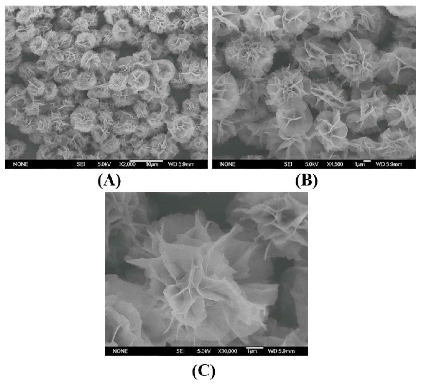 Molecules 21 00565 g001