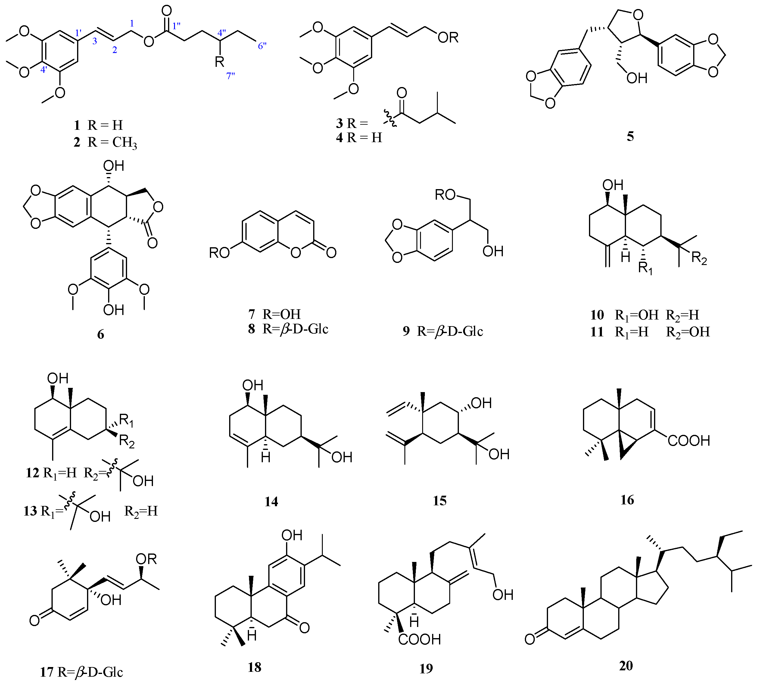 Molecules 21 00571 g001