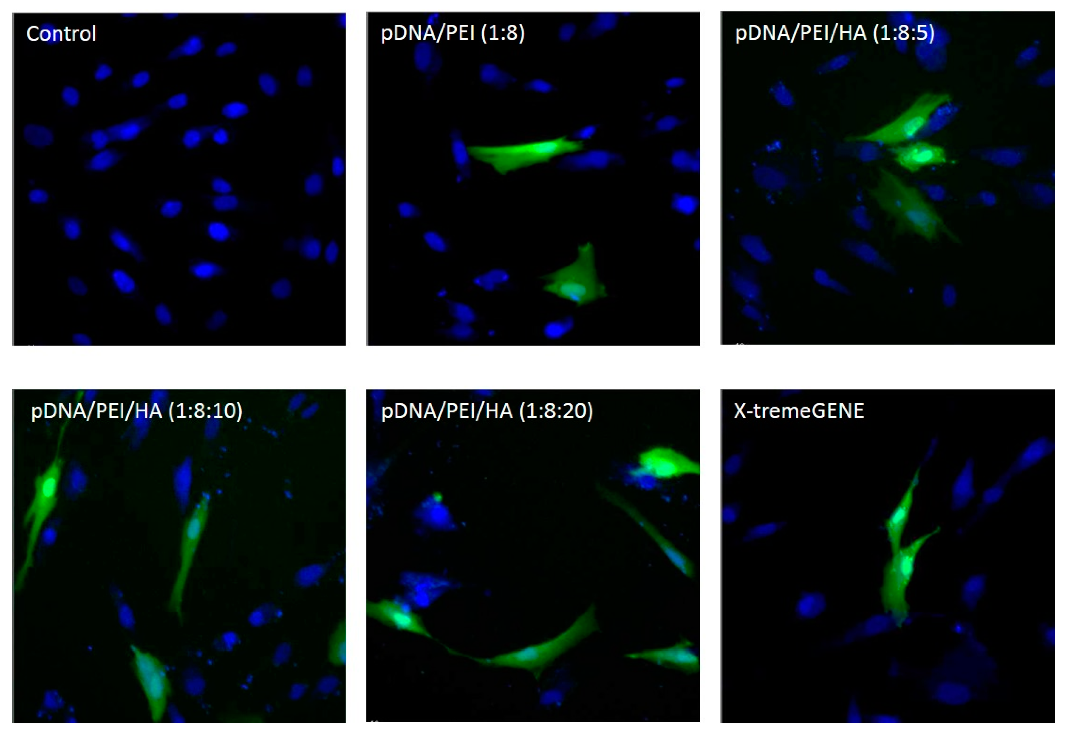 Molecules 21 00572 g006