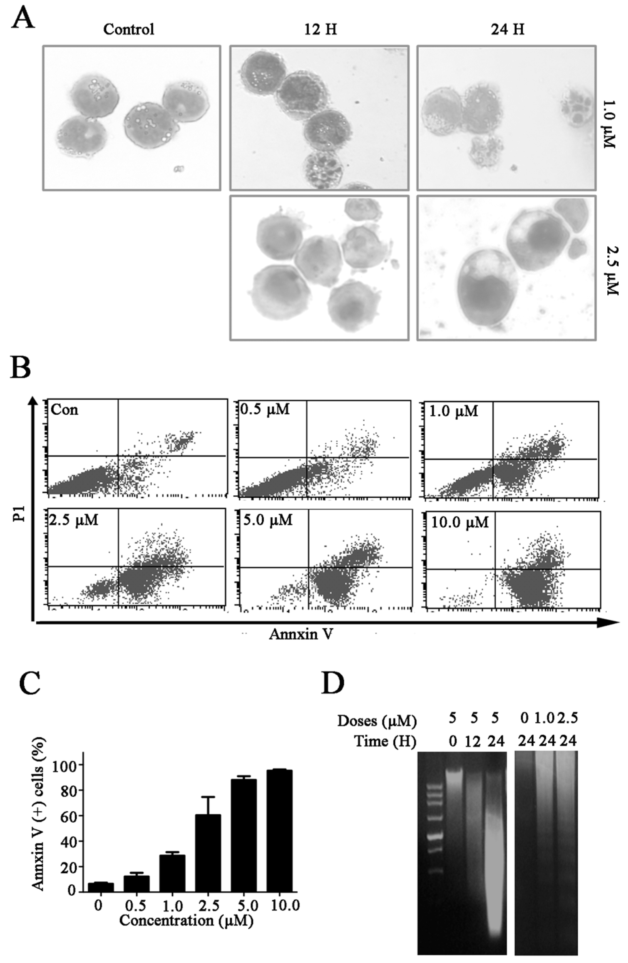 Molecules 21 00574 g002