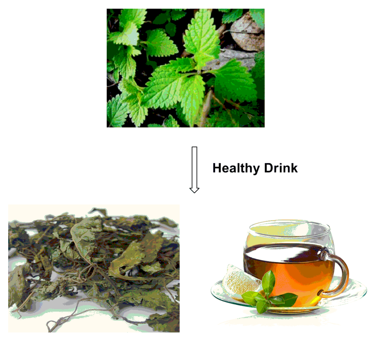 Molecules 21 00575 g001