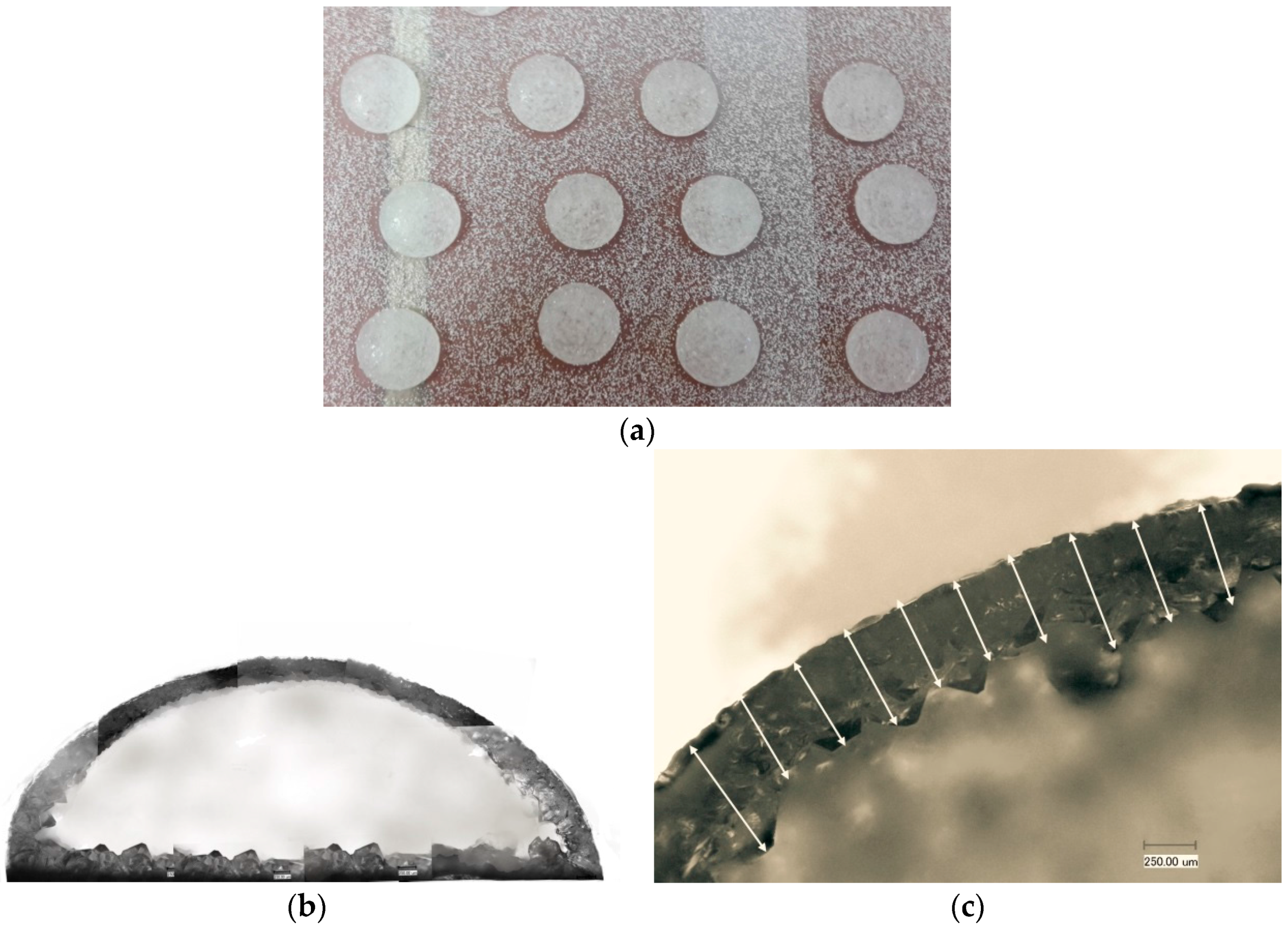 Molecules 21 00577 g001