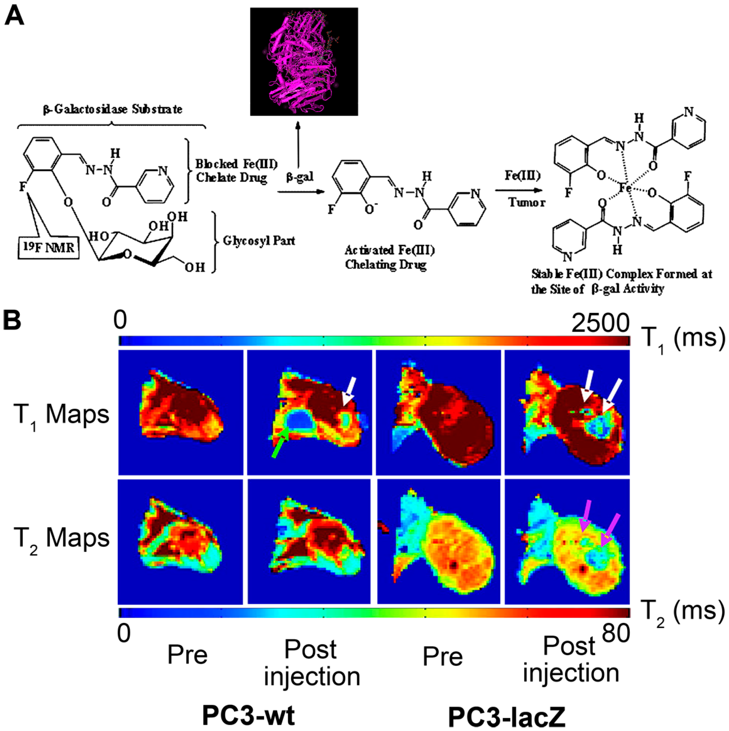 Molecules 21 00580 g003