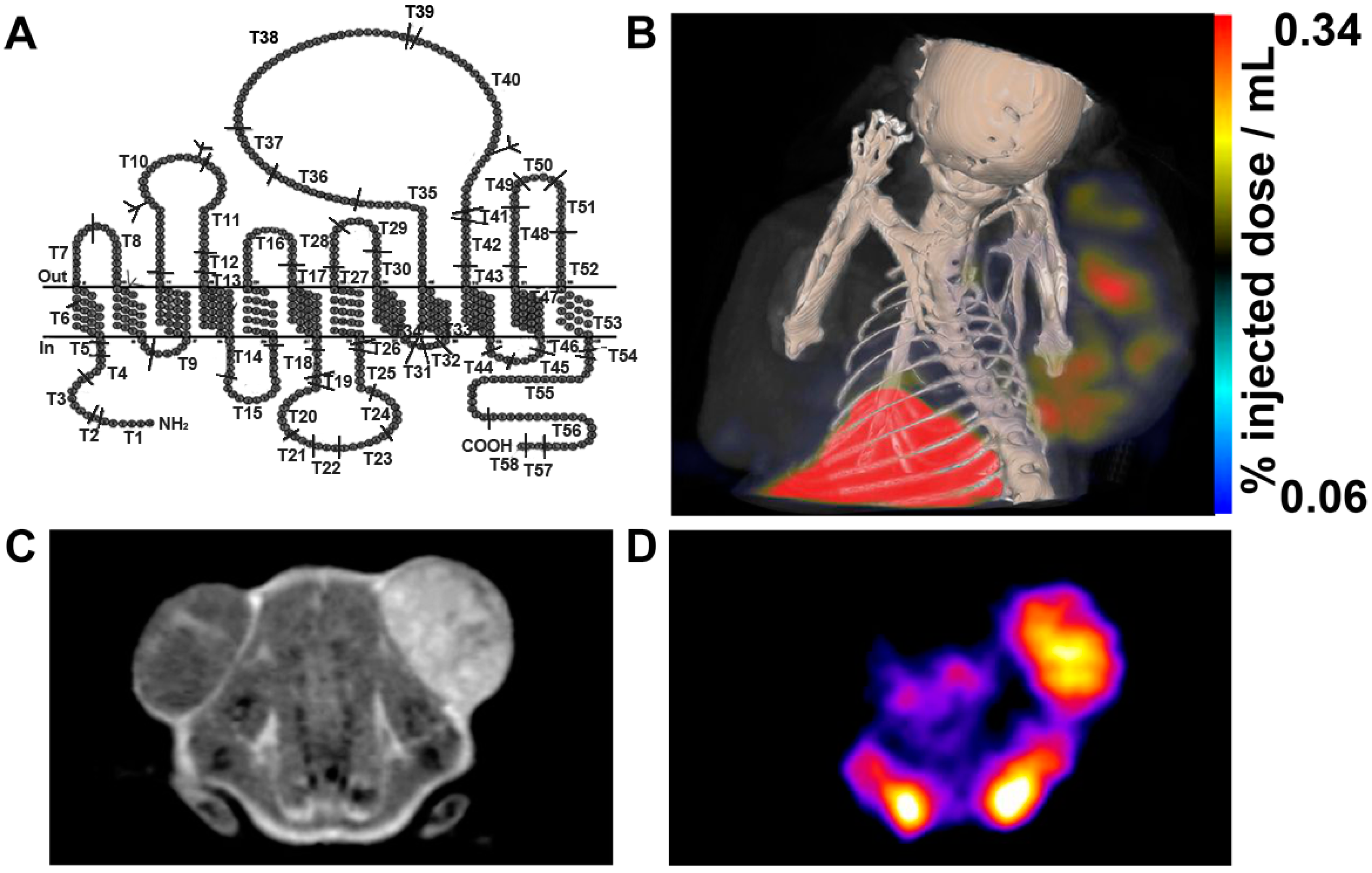 Molecules 21 00580 g005
