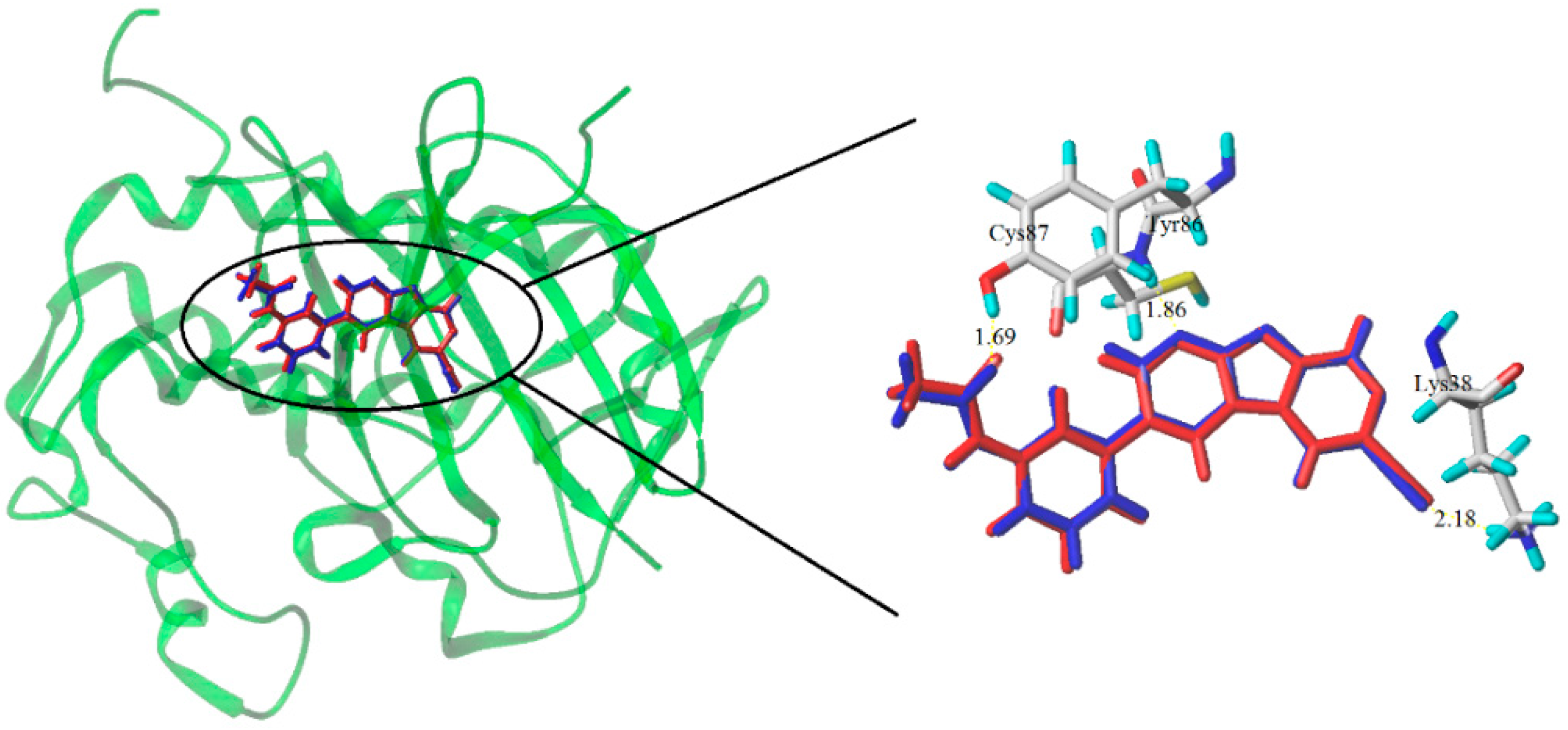 Molecules 21 00591 g008