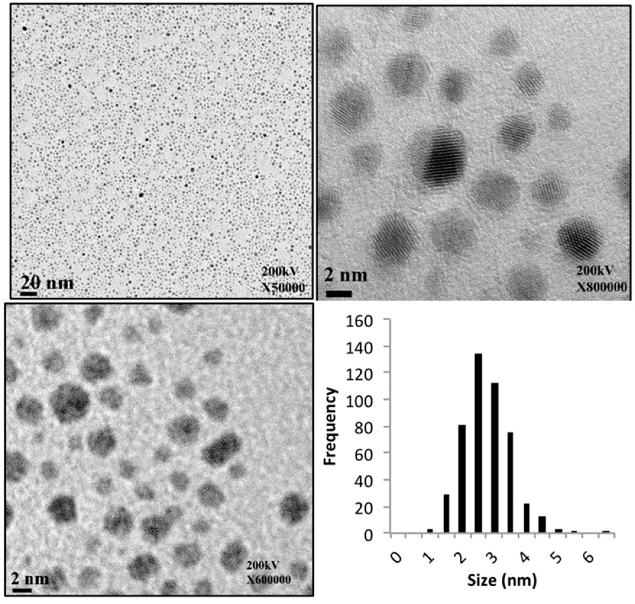 Molecules 21 00599 g004