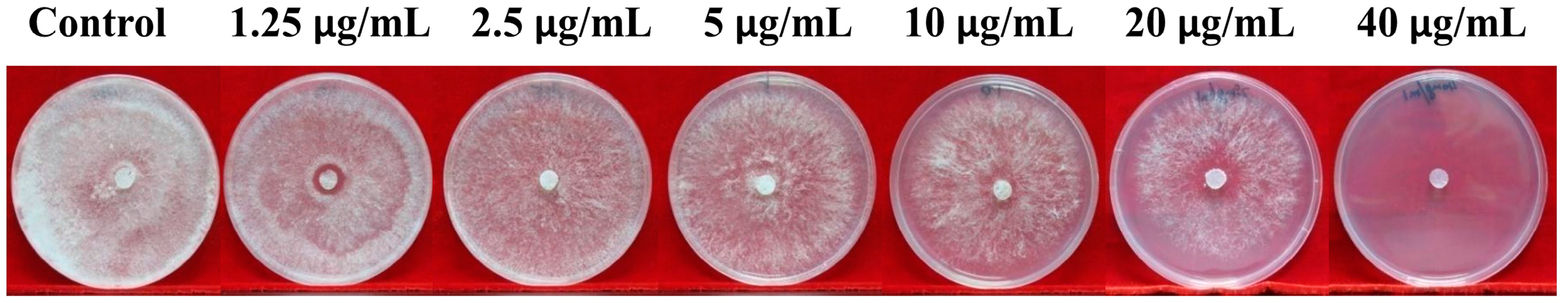 Molecules 21 00613 g001