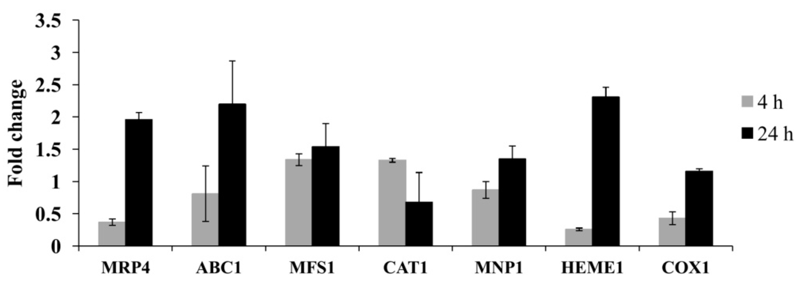 Molecules 21 00613 g007