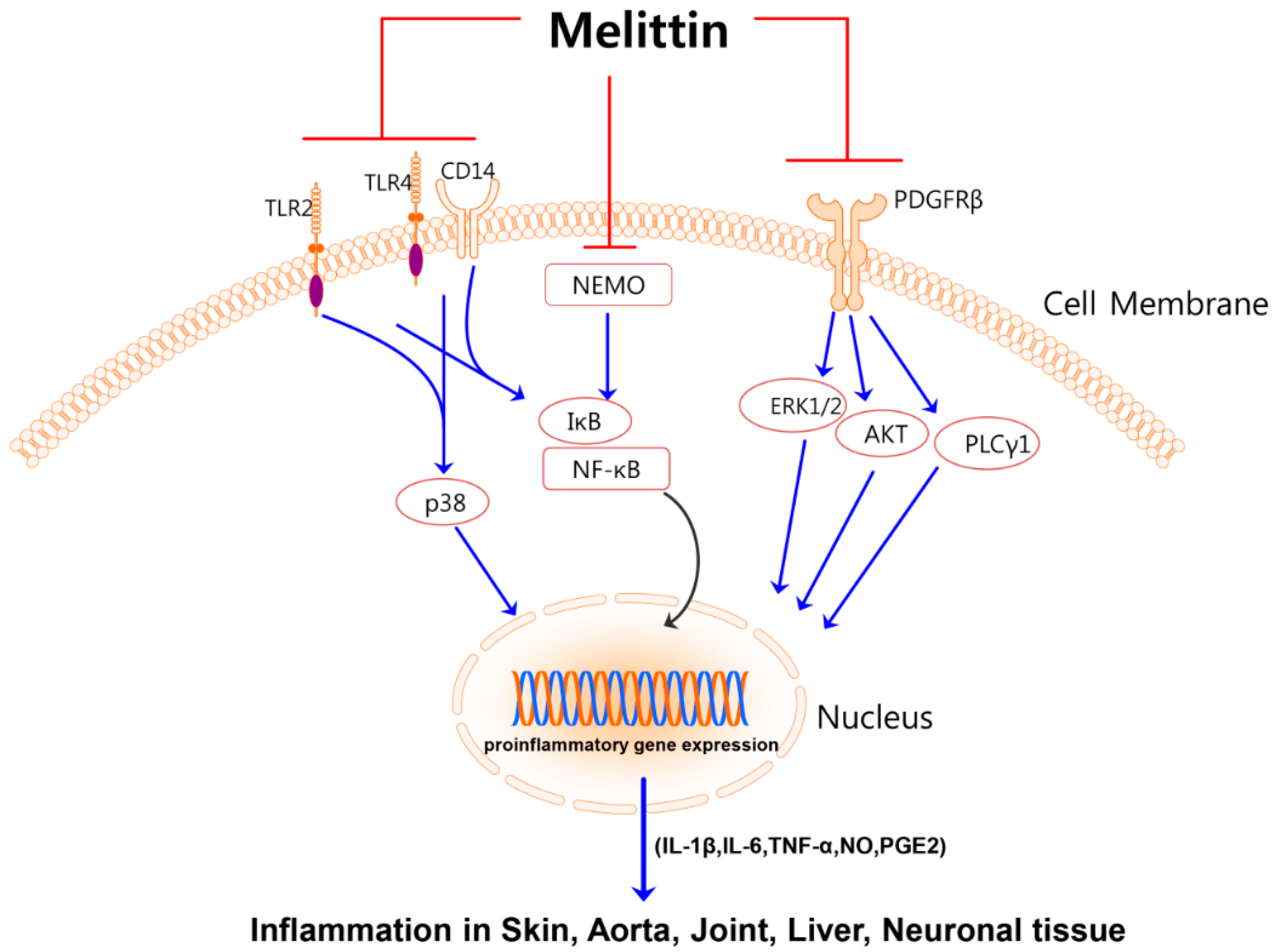 Molecules 21 00616 g001