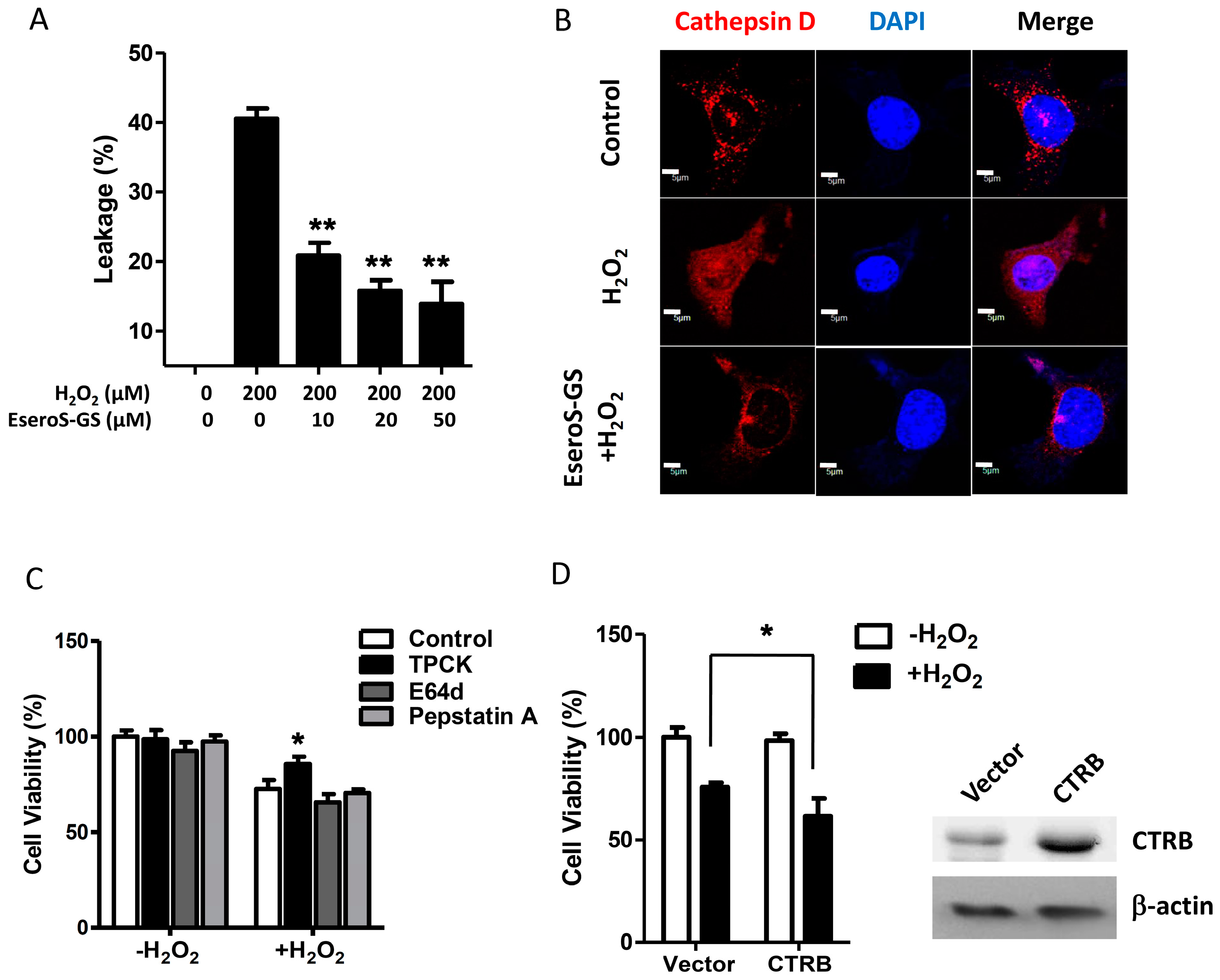 Molecules 21 00637 g003