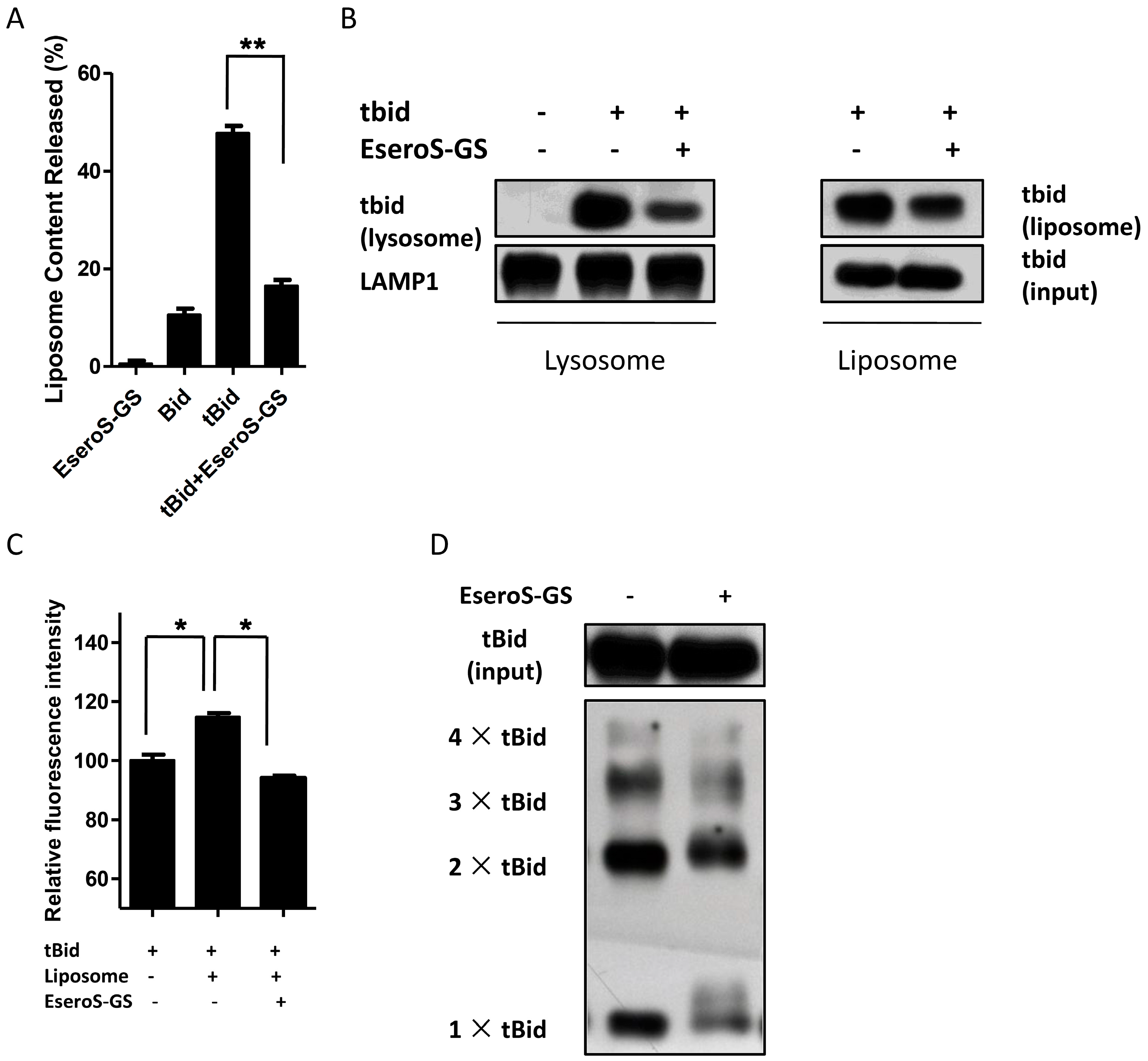 Molecules 21 00637 g004