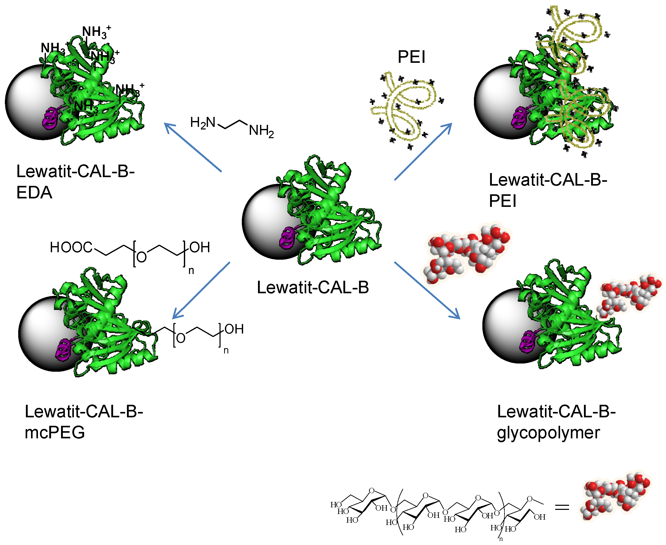 Molecules 21 00648 g002