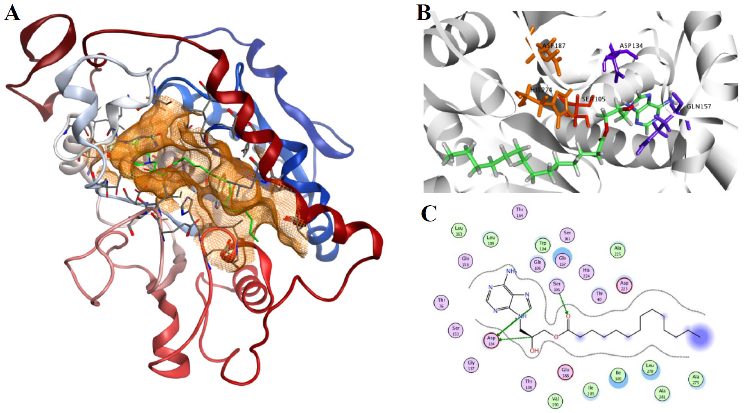 Molecules 21 00648 g005