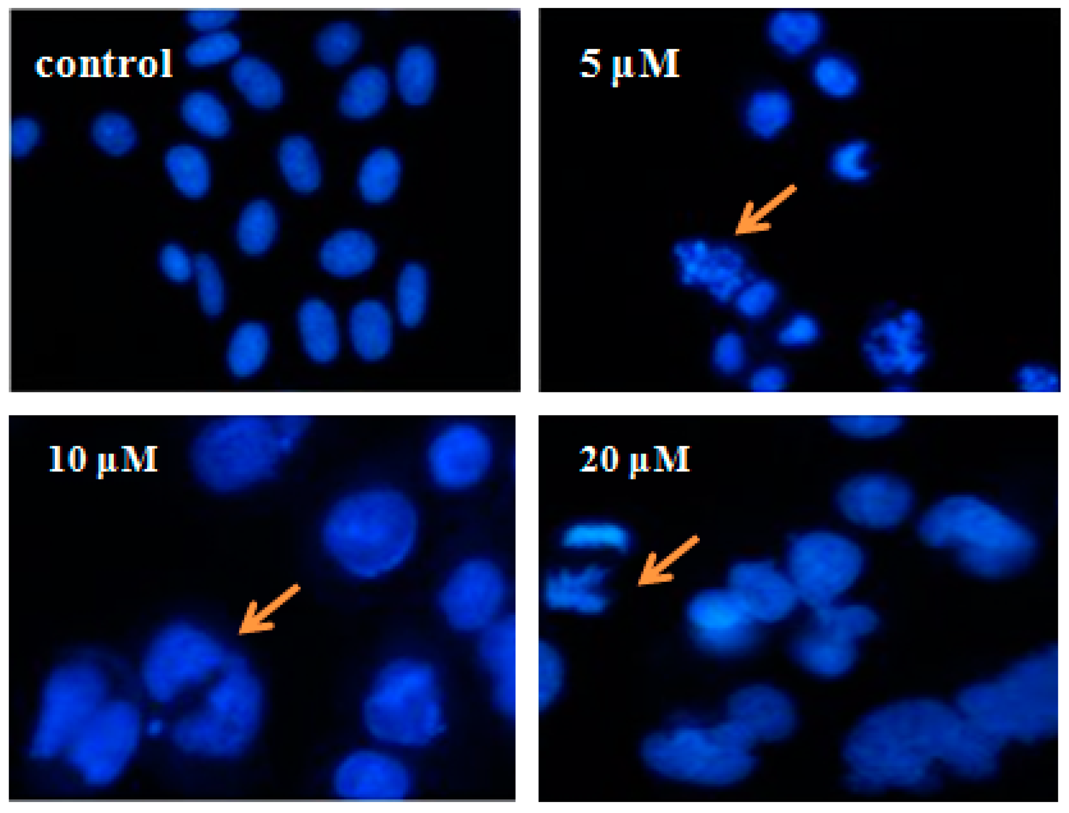 Molecules 21 00653 g005