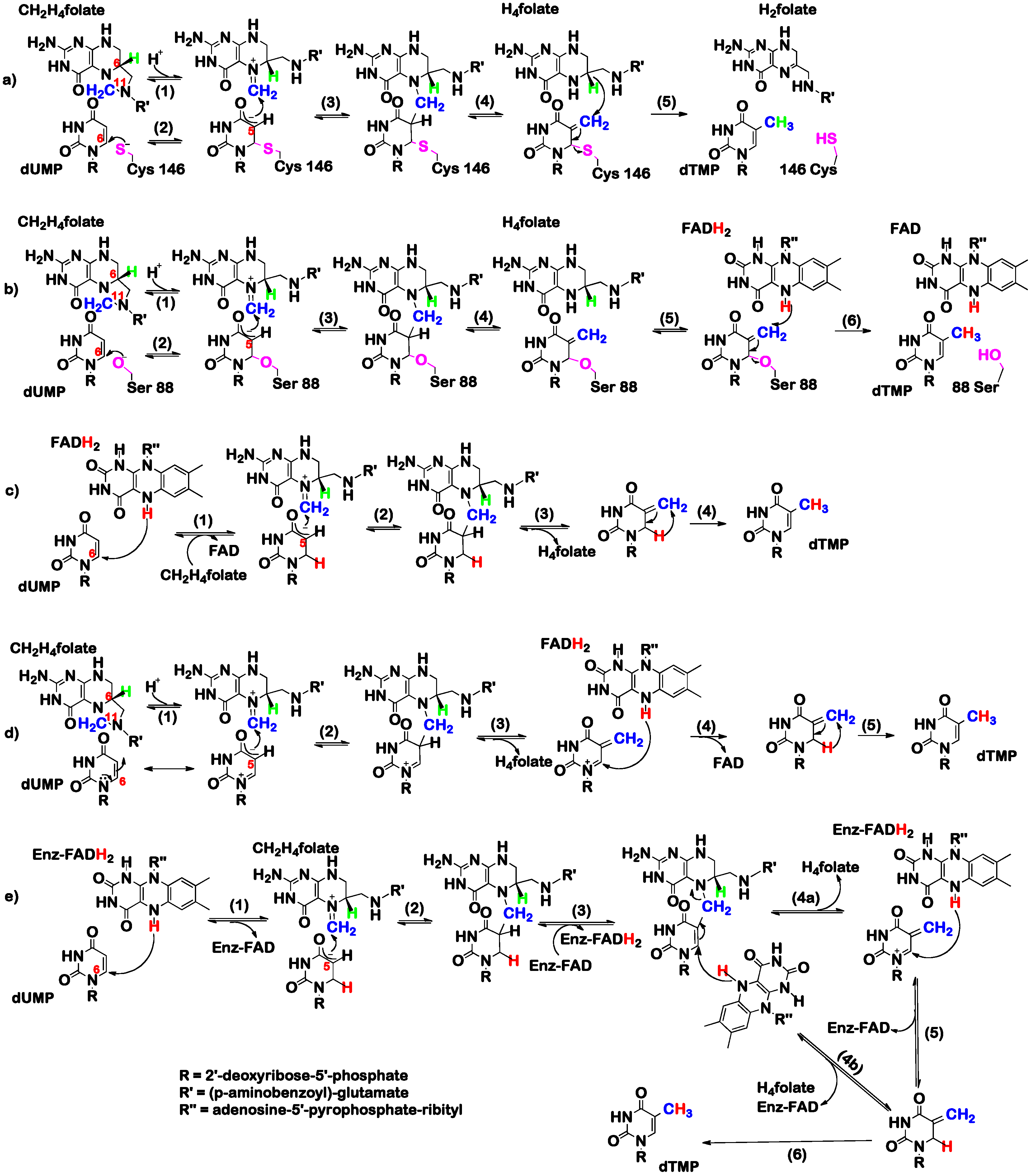 Molecules 21 00654 sch002