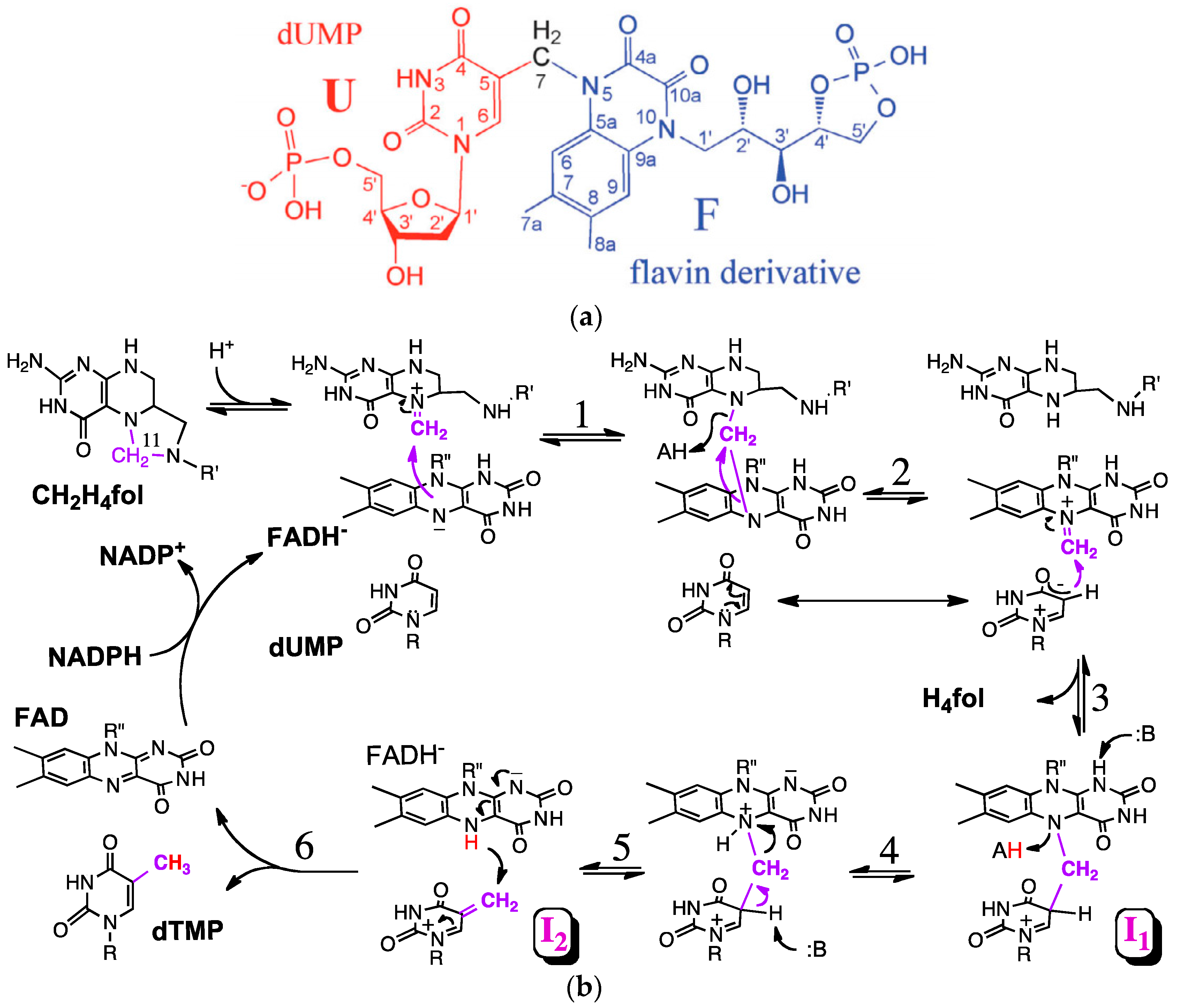 Molecules 21 00654 sch003
