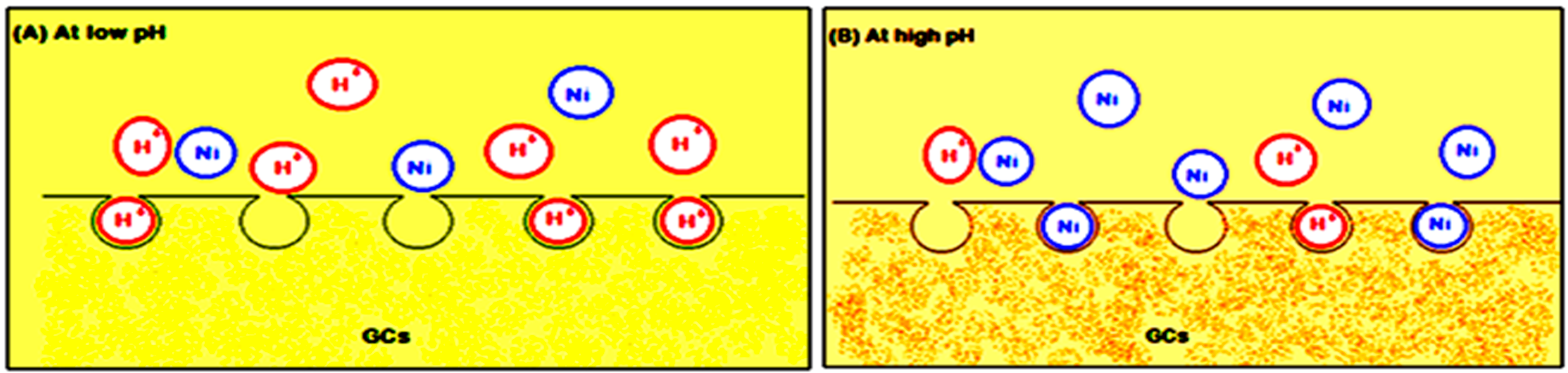 Molecules 21 00684 g004