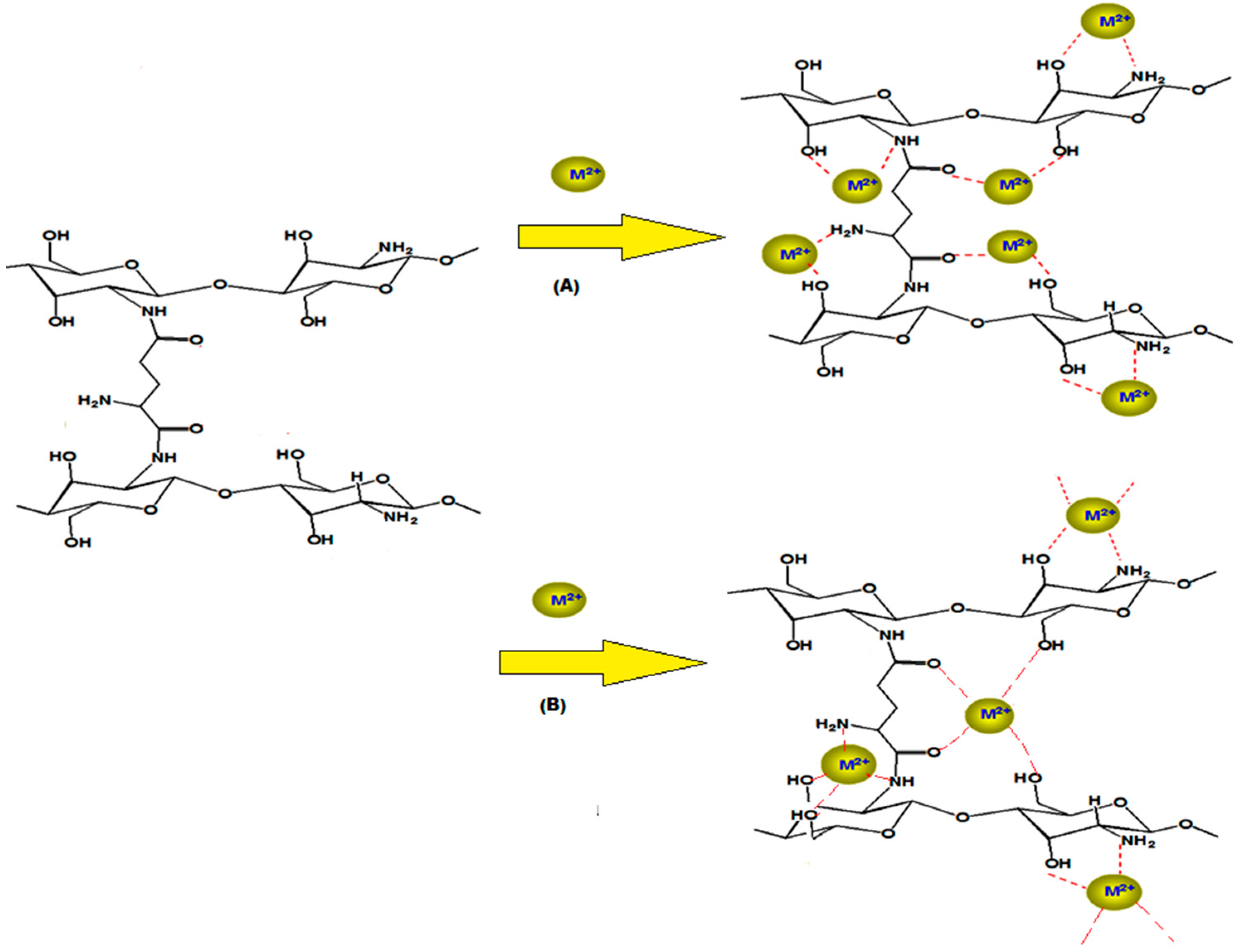 Molecules 21 00684 sch002